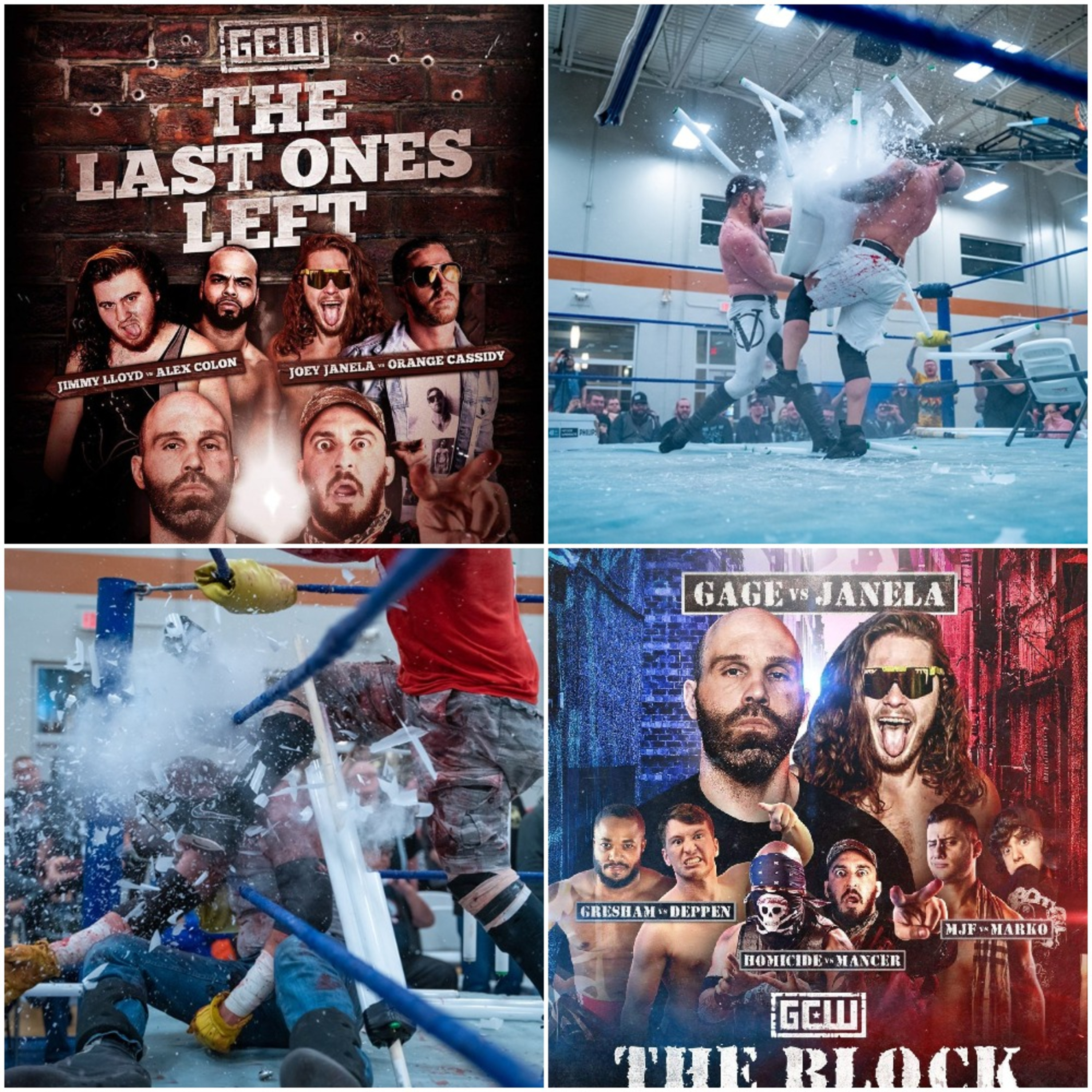 Wrestling Cult