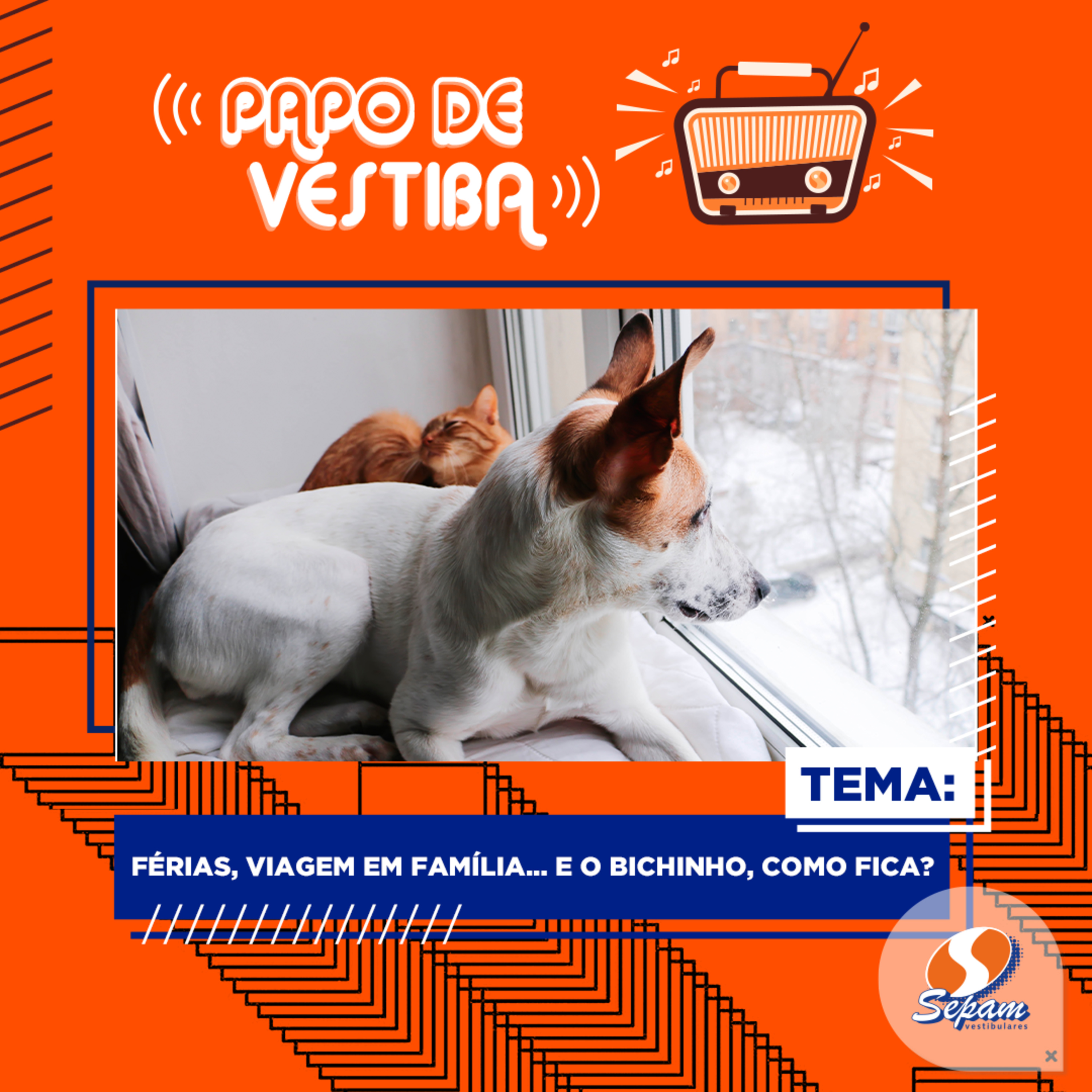 Papo de Vestiba