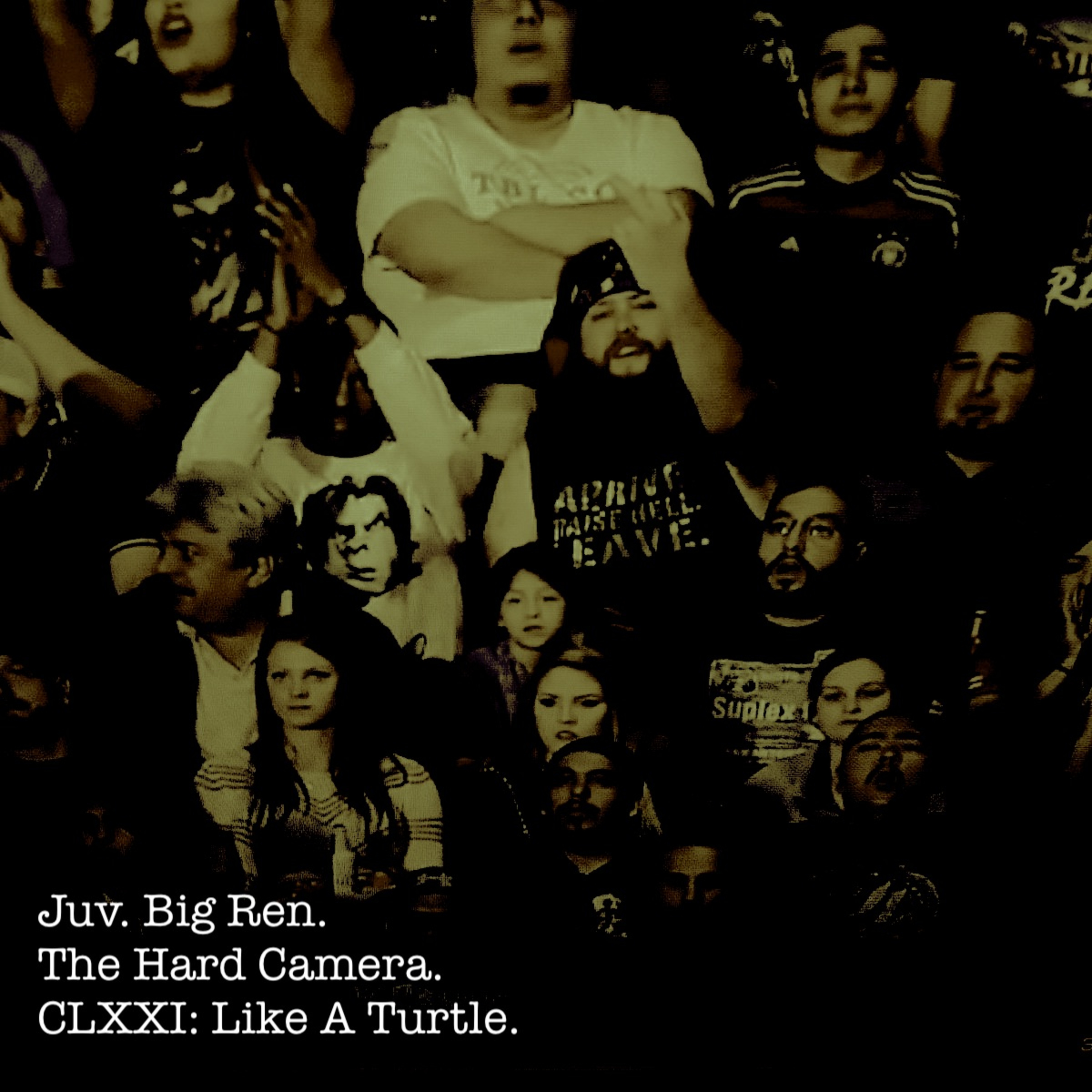 The Hard Camera CLXXI: Like A Turtle episode artwork