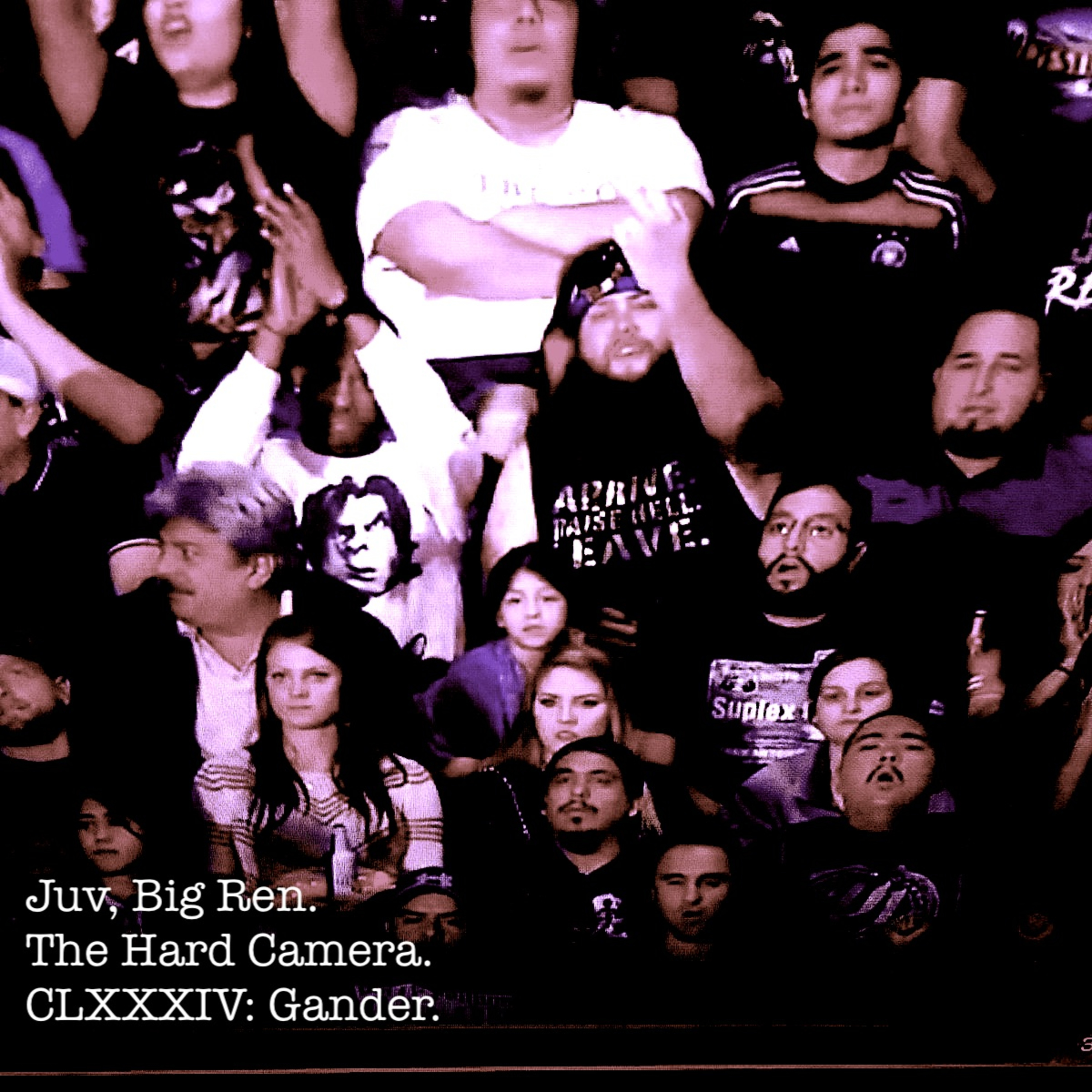 The Hard Camera CLXXXIV: Gander. episode artwork