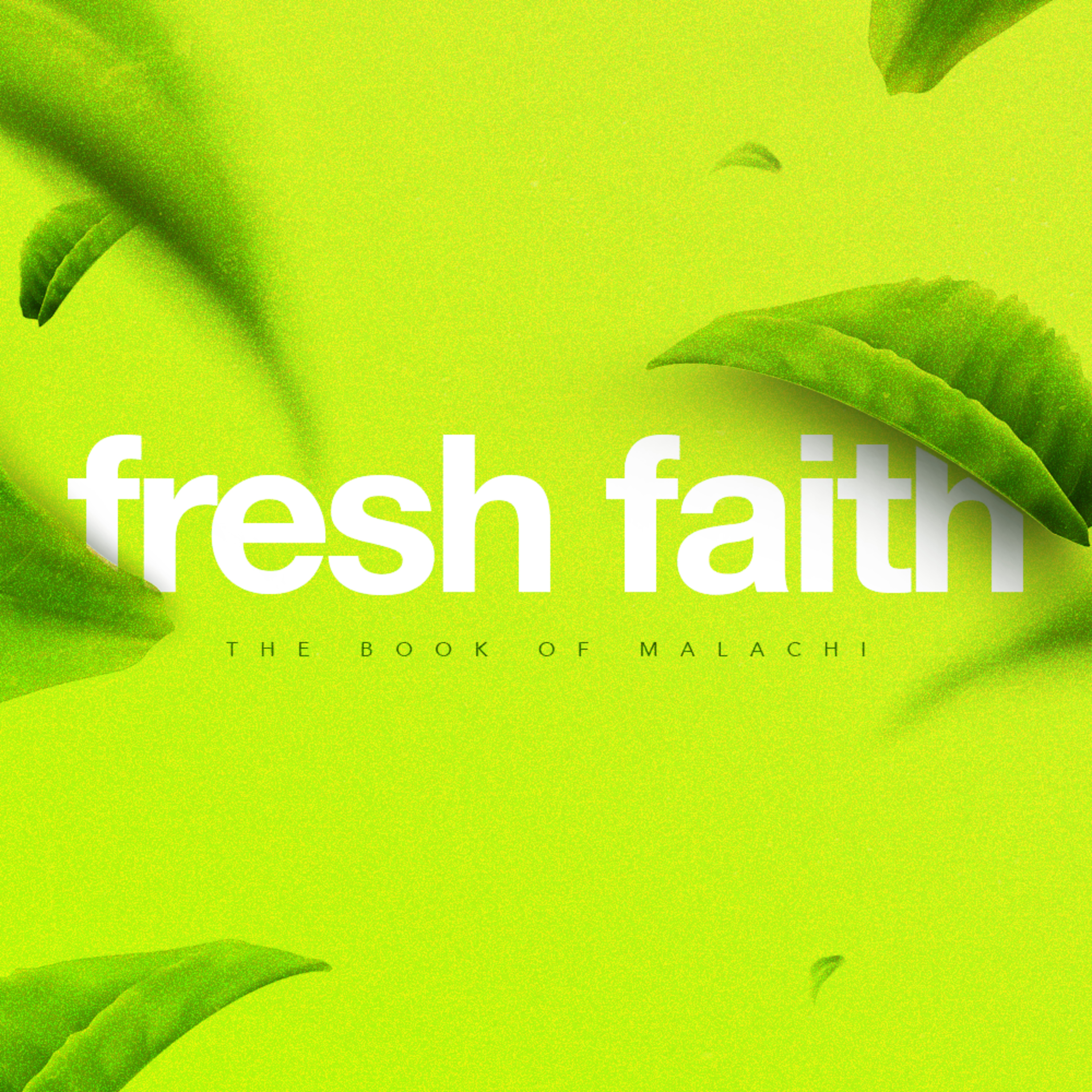 Fresh Faith - Book of Malachi: The Messenger