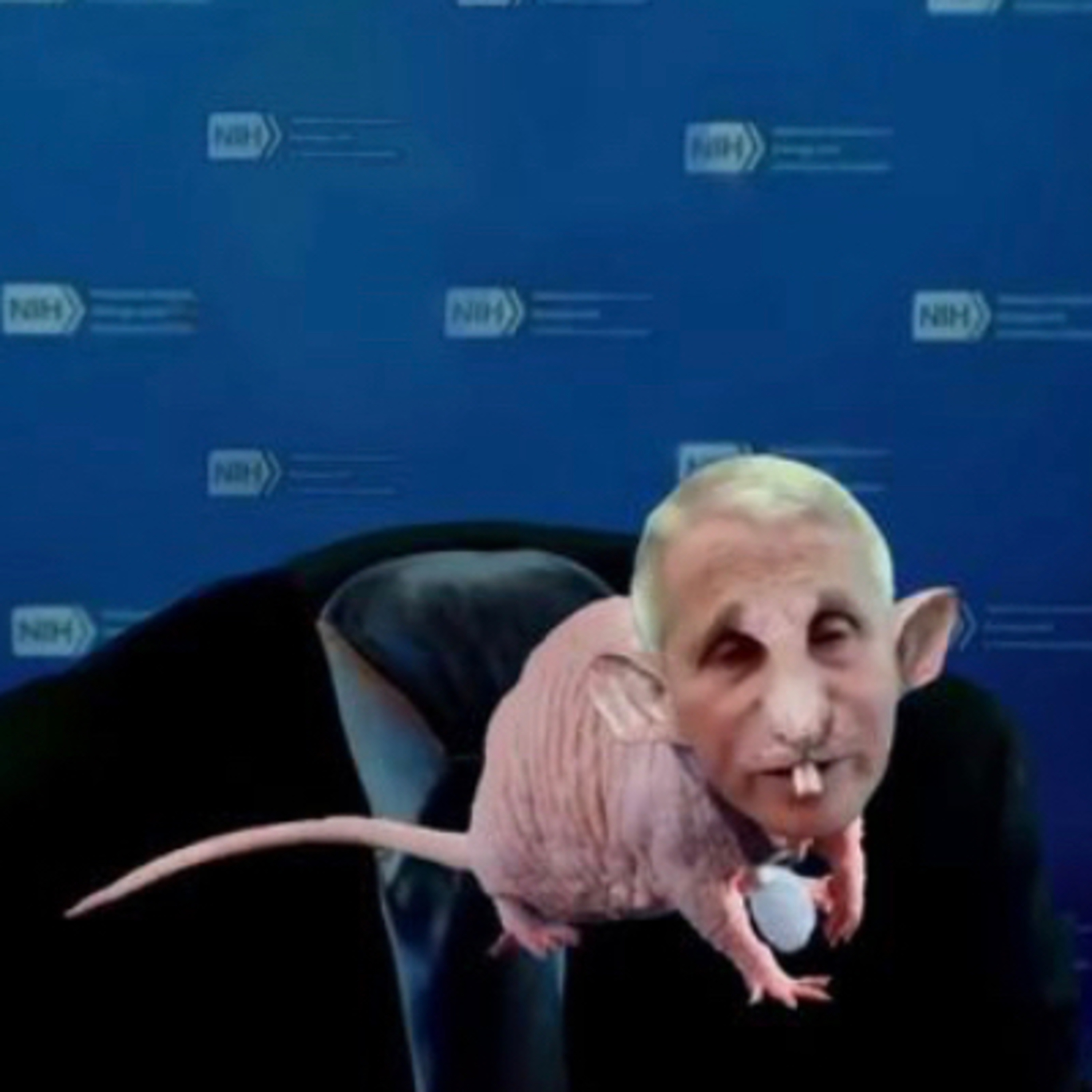 Lab Rat Fauci gets exposed. Here is what the media won’t tell you.