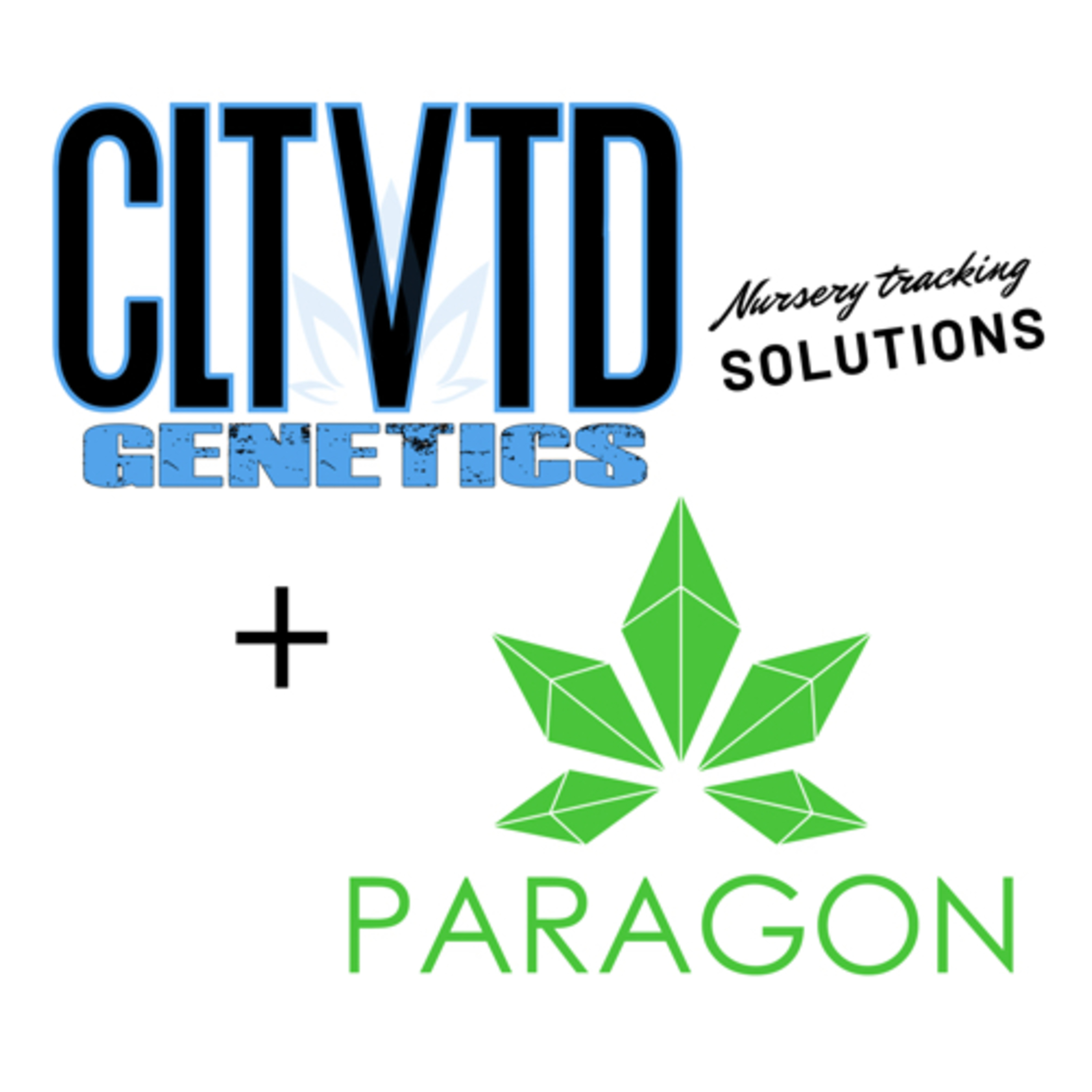 CLTVTD Genetics | Audio Journal | the journey of a startup cannabis nursery |@CLTVTD_mg