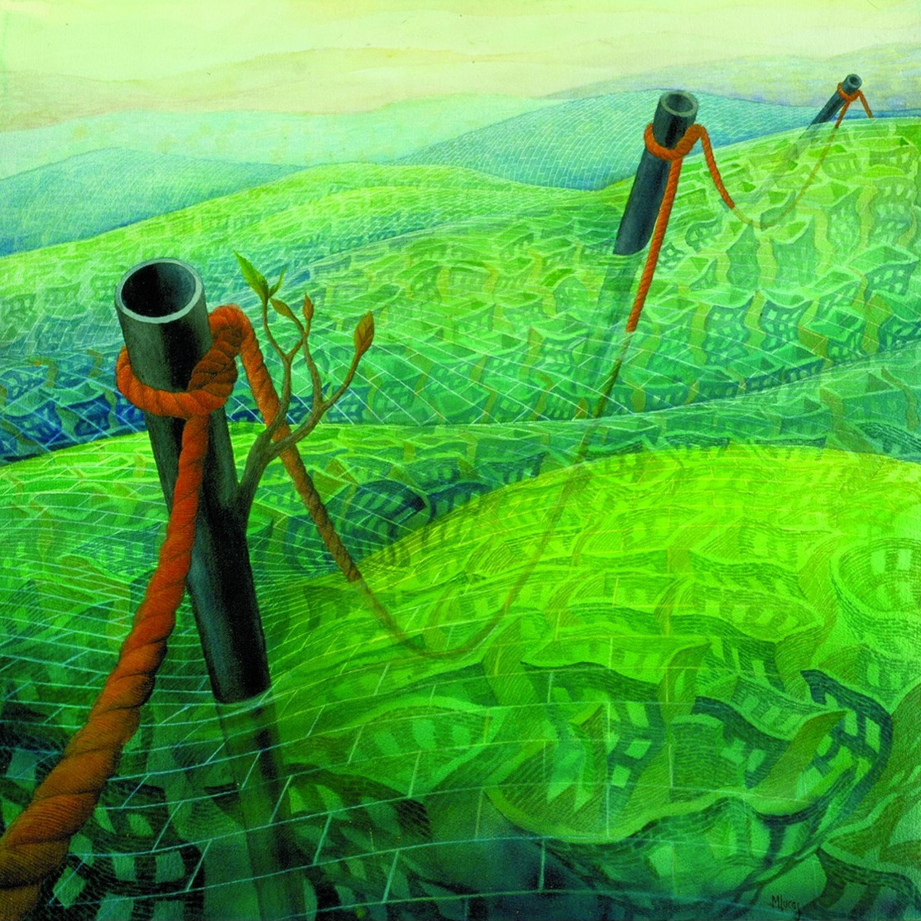 M. Lucas : Le Poisson