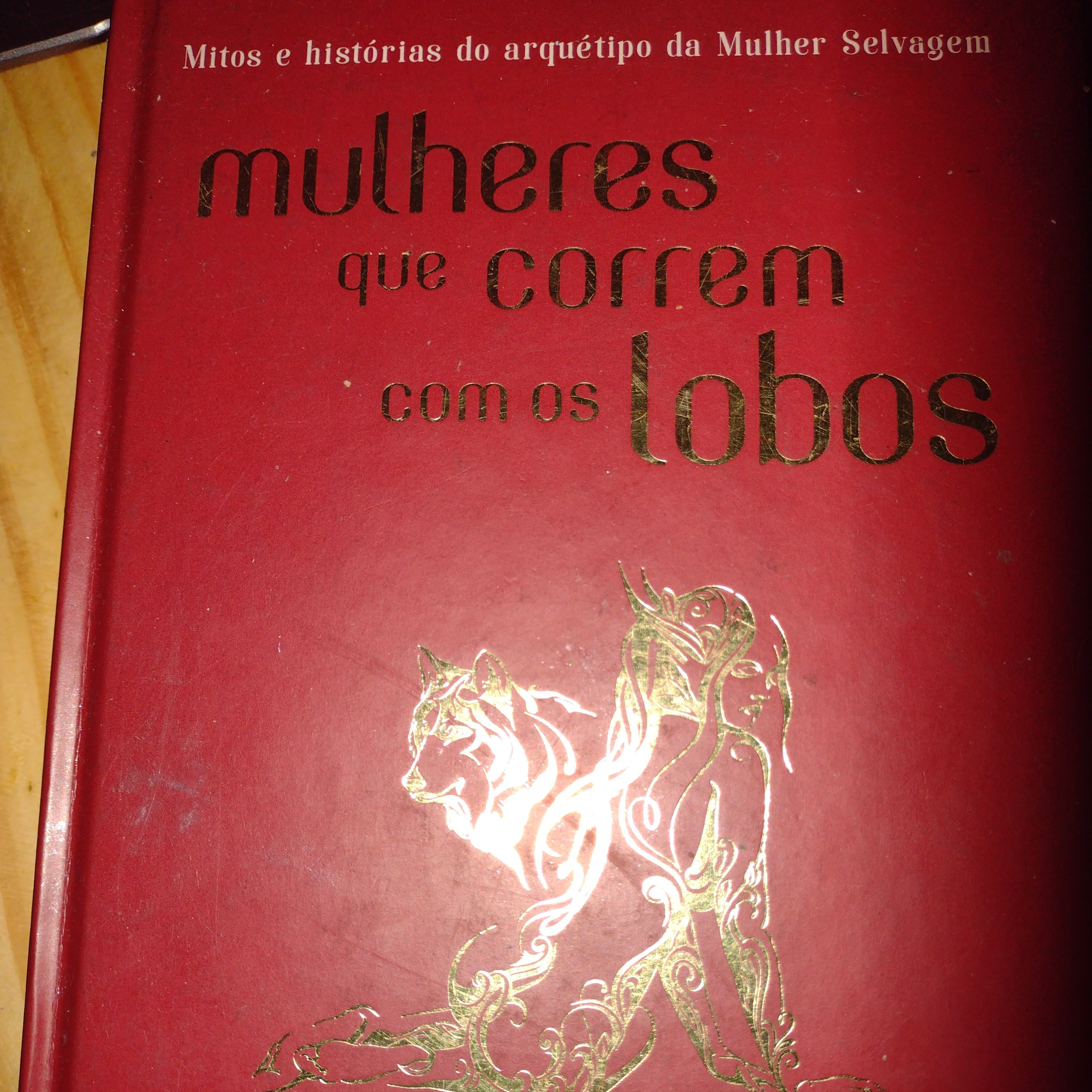 Leituras de livros Psicanalíticos, Freud e outros.