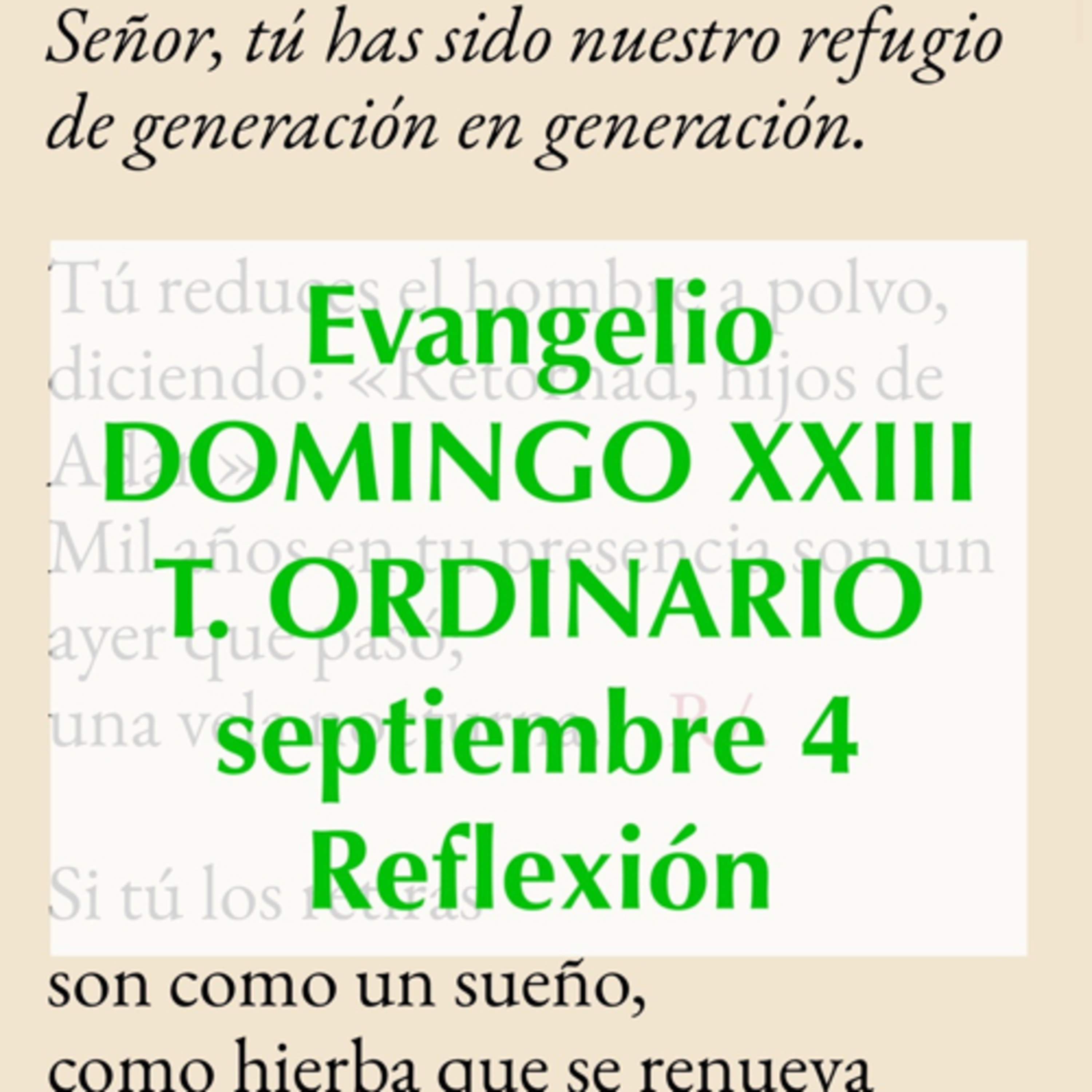 Reflexiones para orar