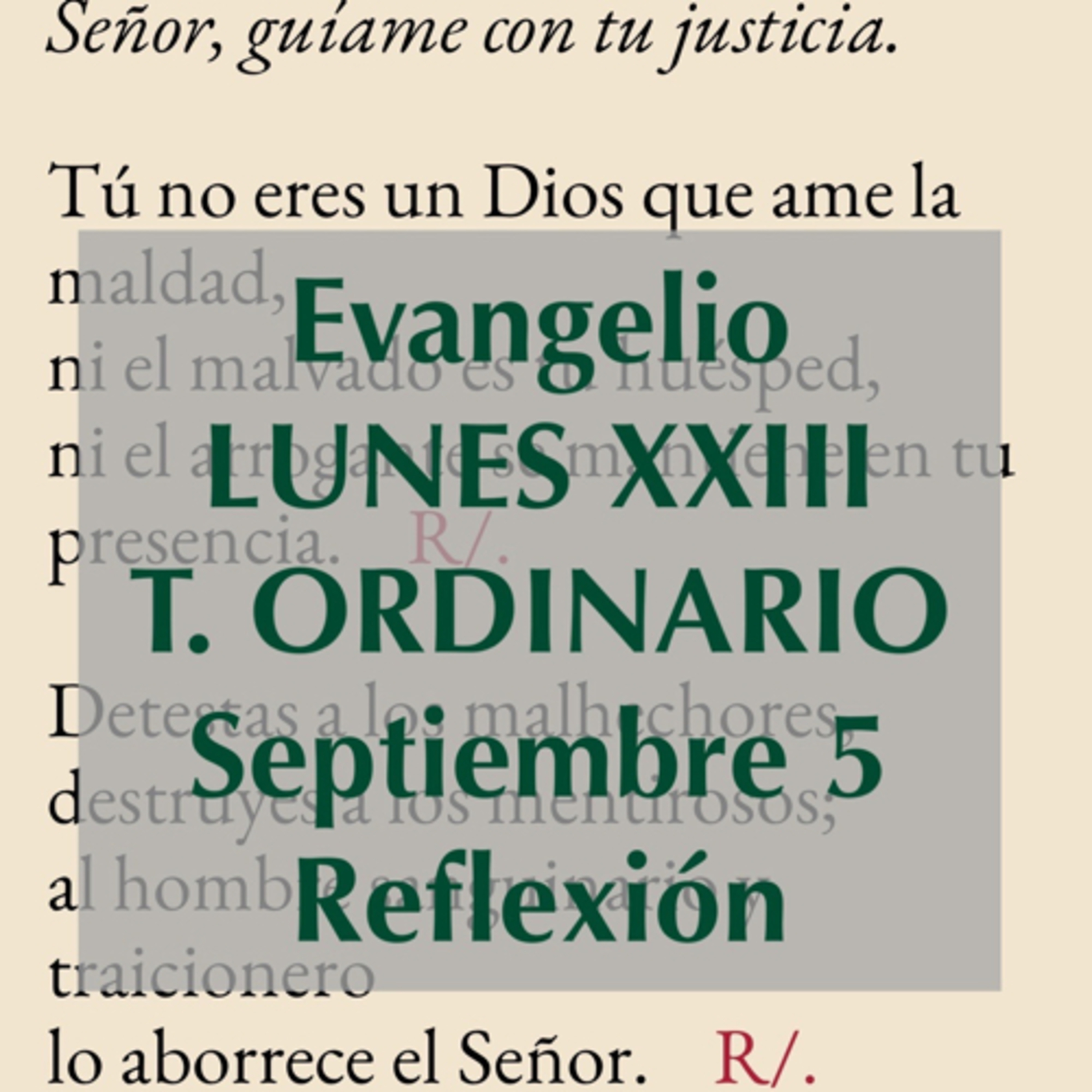 Reflexiones para orar