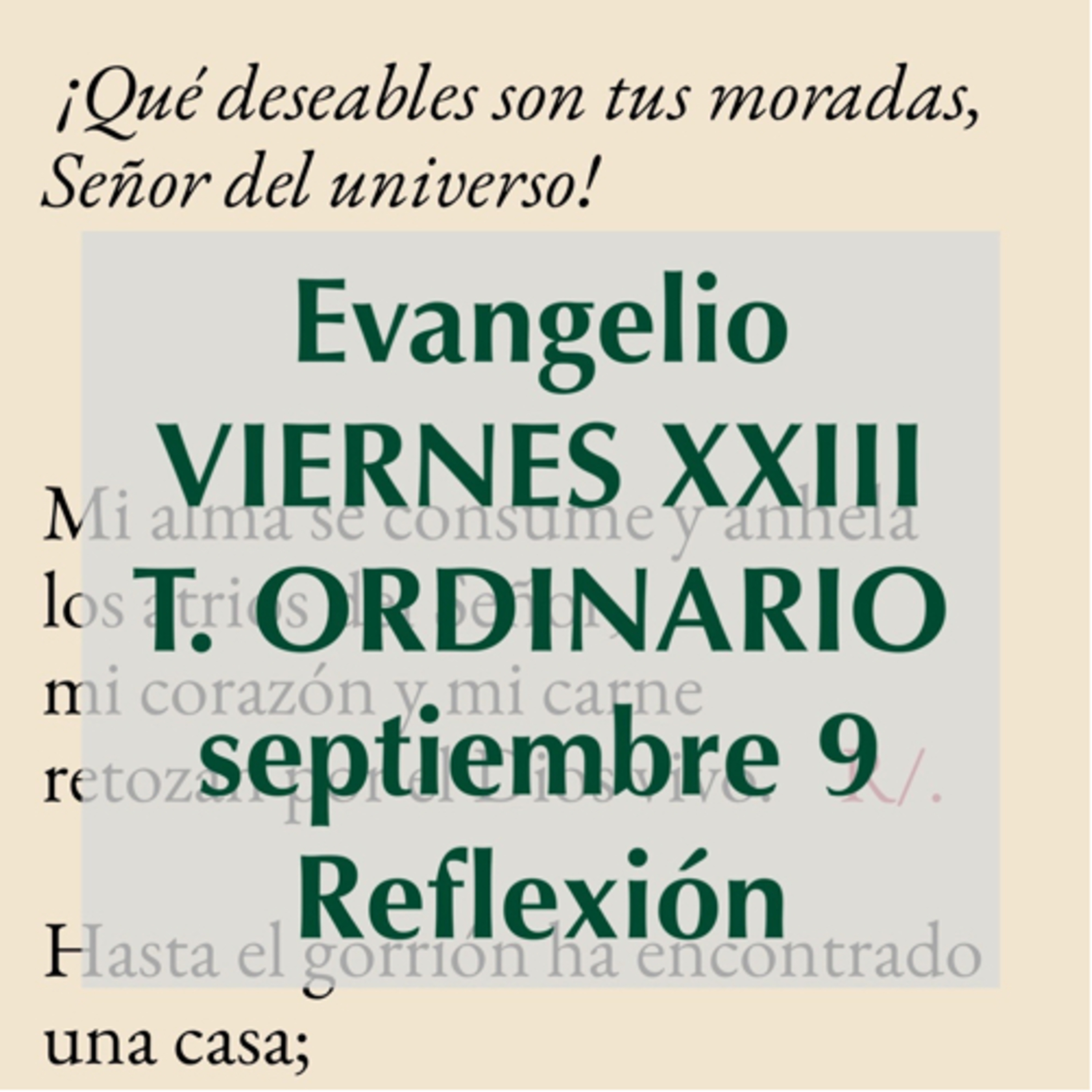 Reflexiones para orar