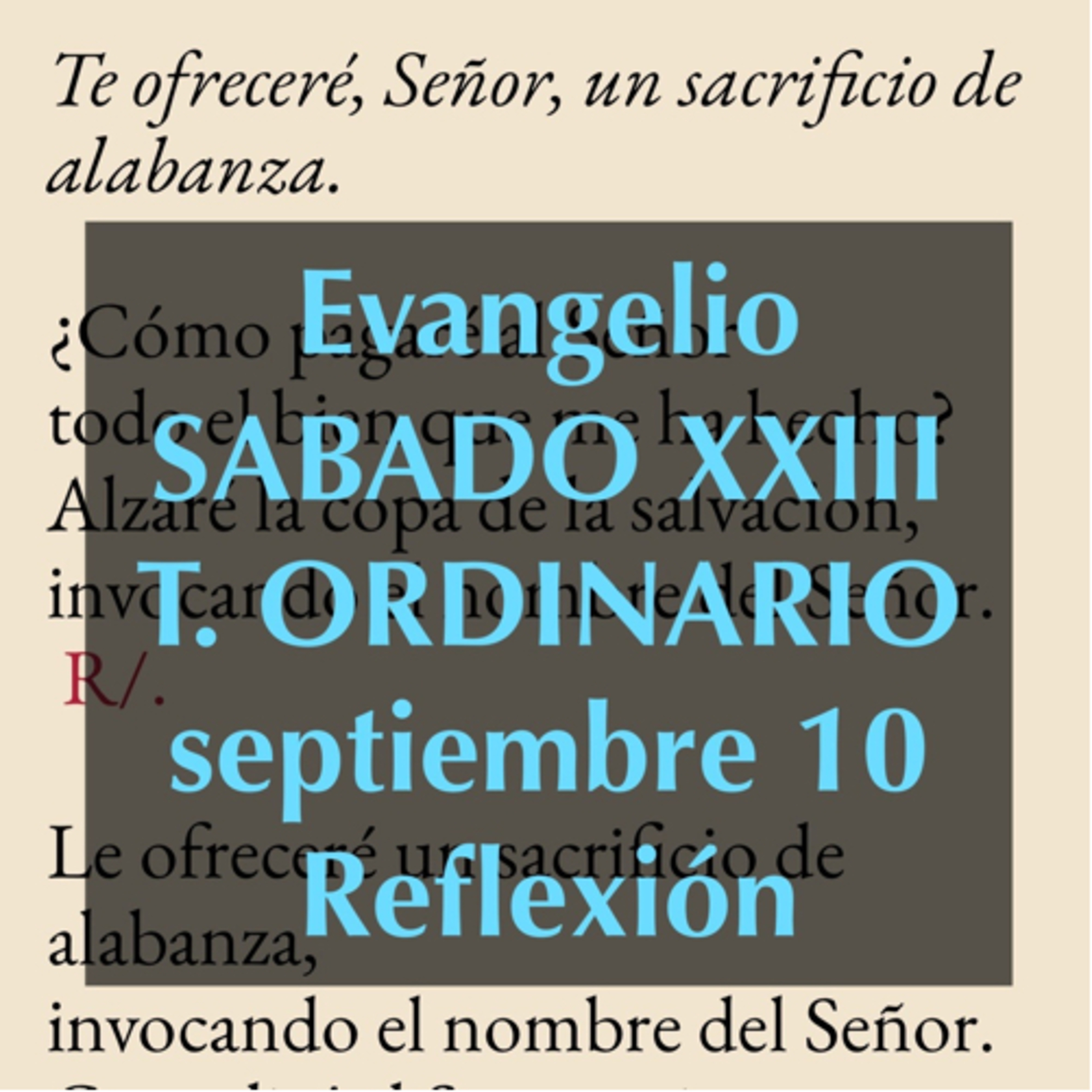 Reflexiones para orar