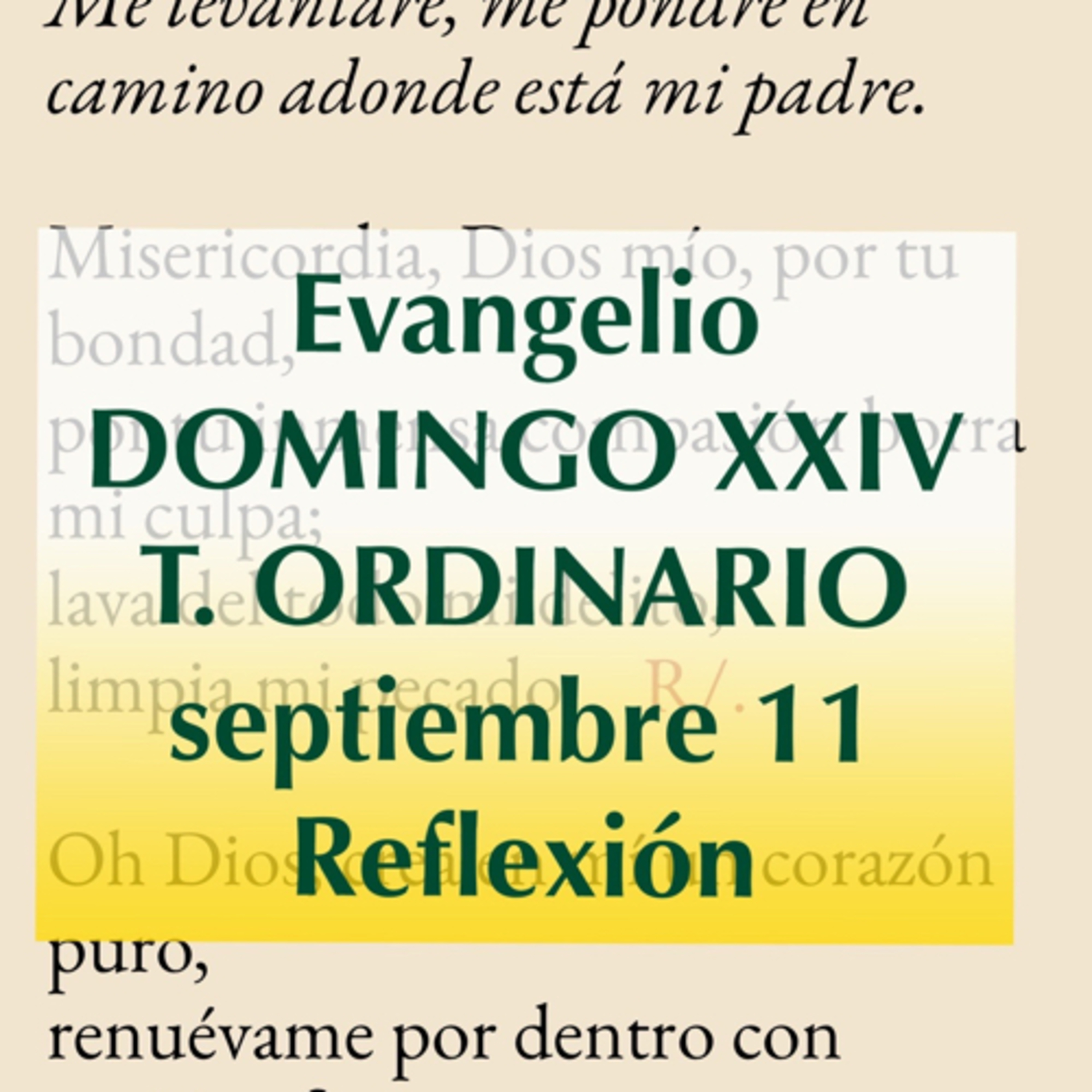 Reflexiones para orar