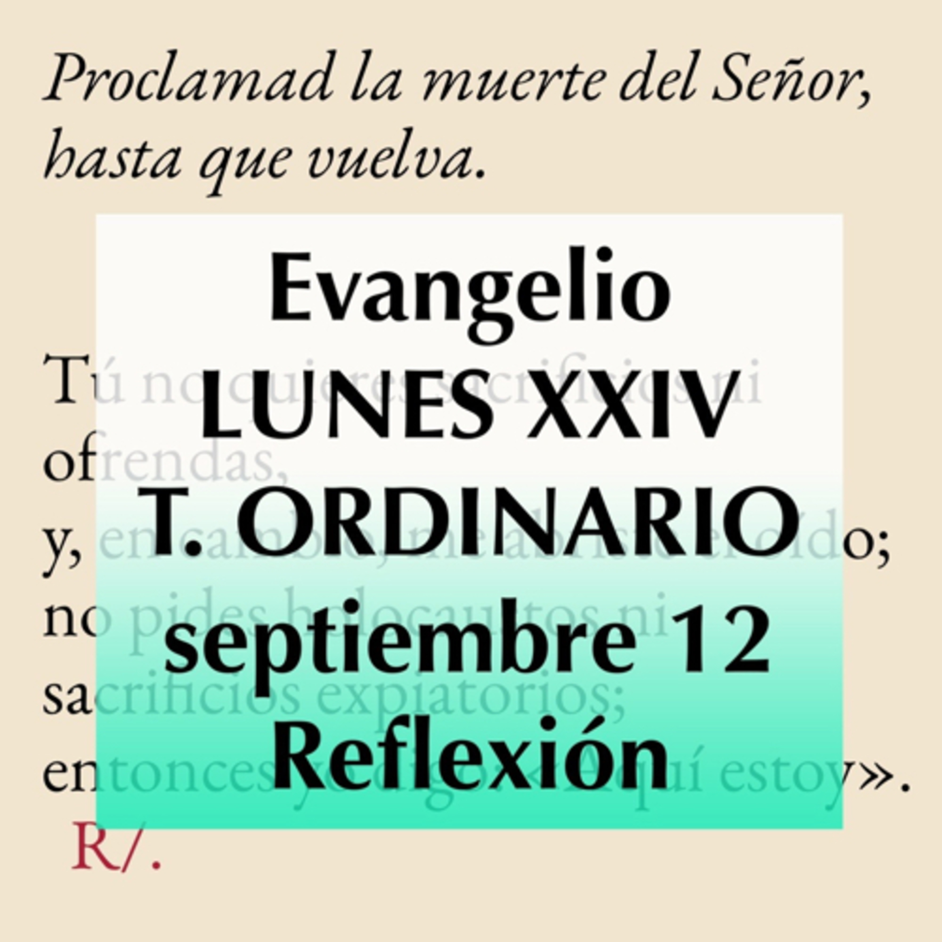 Reflexiones para orar