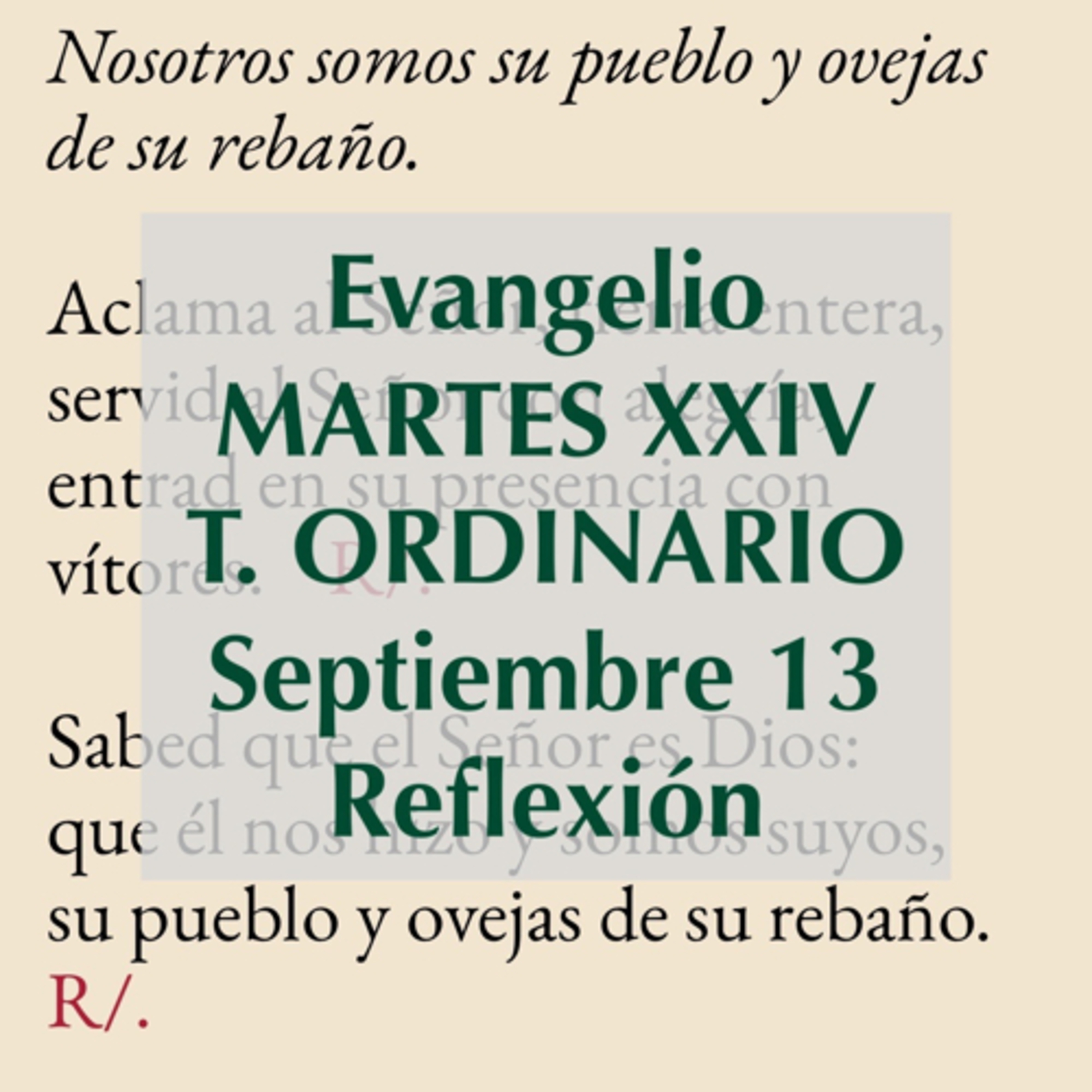 Reflexiones para orar
