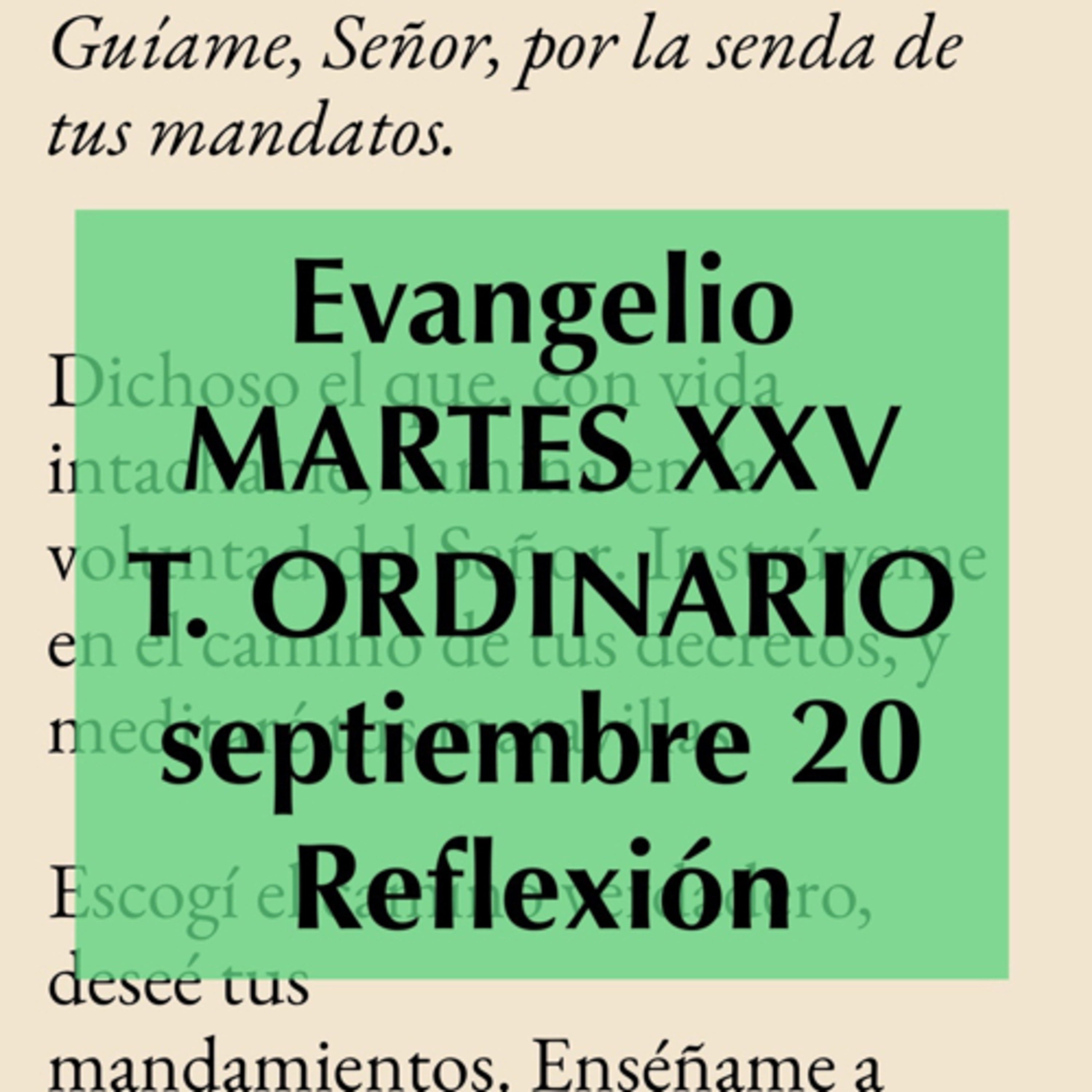 Reflexiones para orar