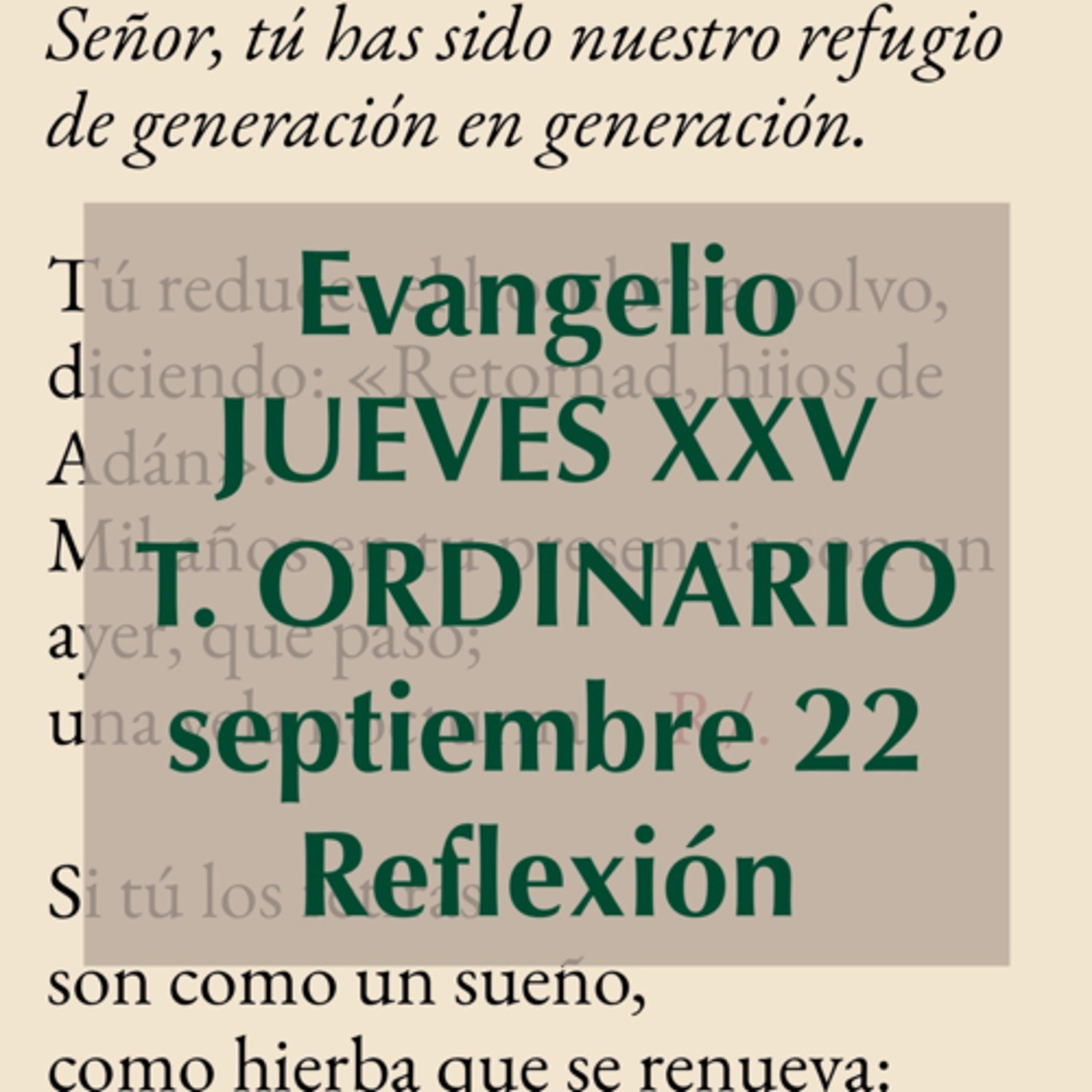 Reflexiones para orar