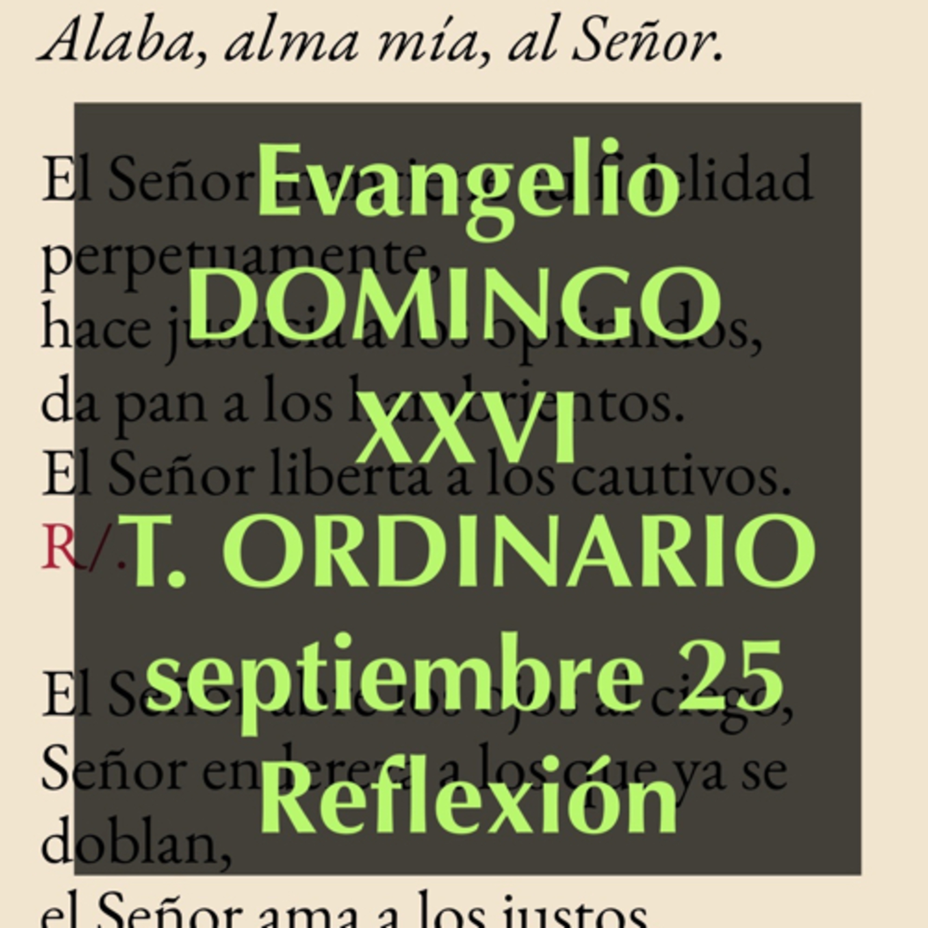 Reflexiones para orar