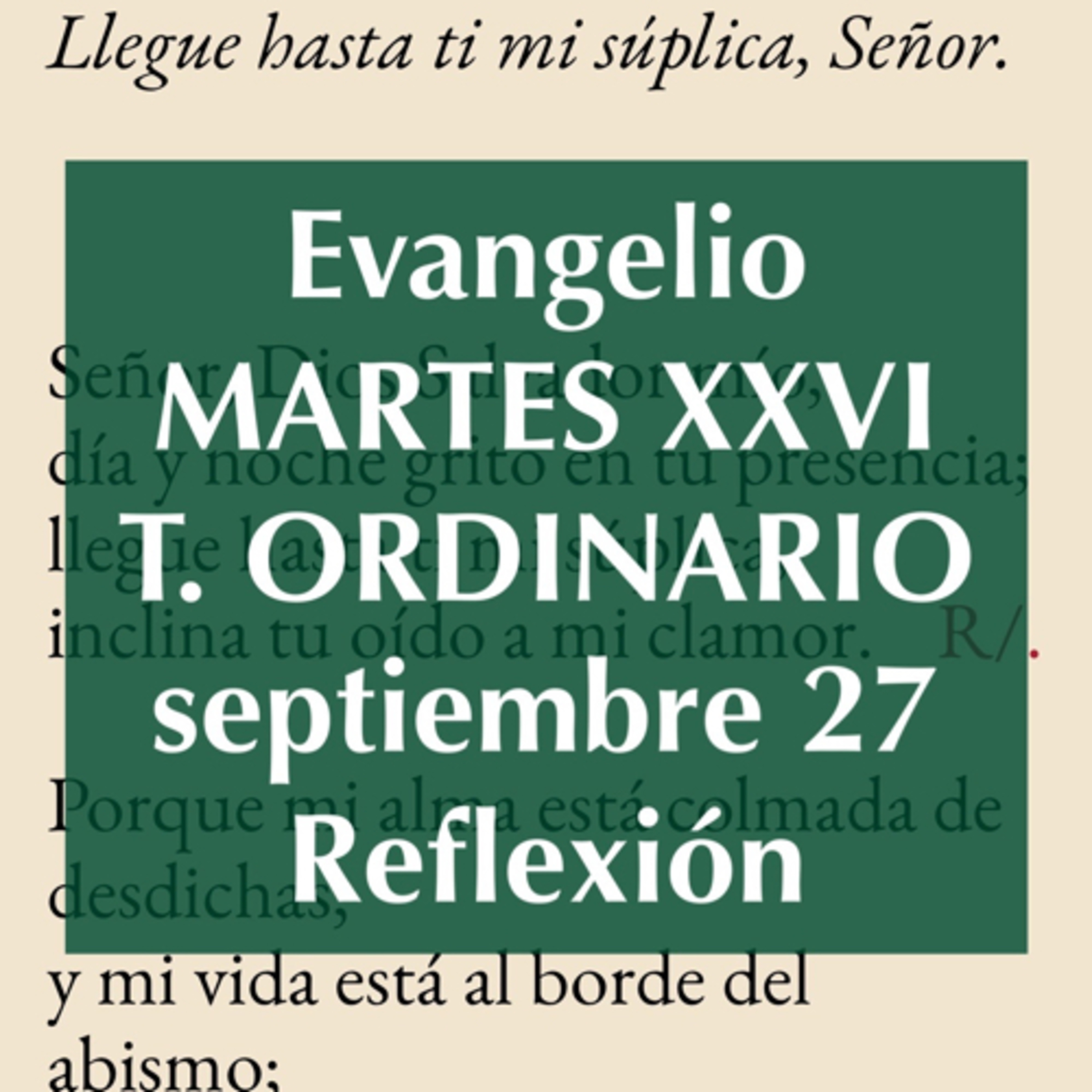 Reflexiones para orar