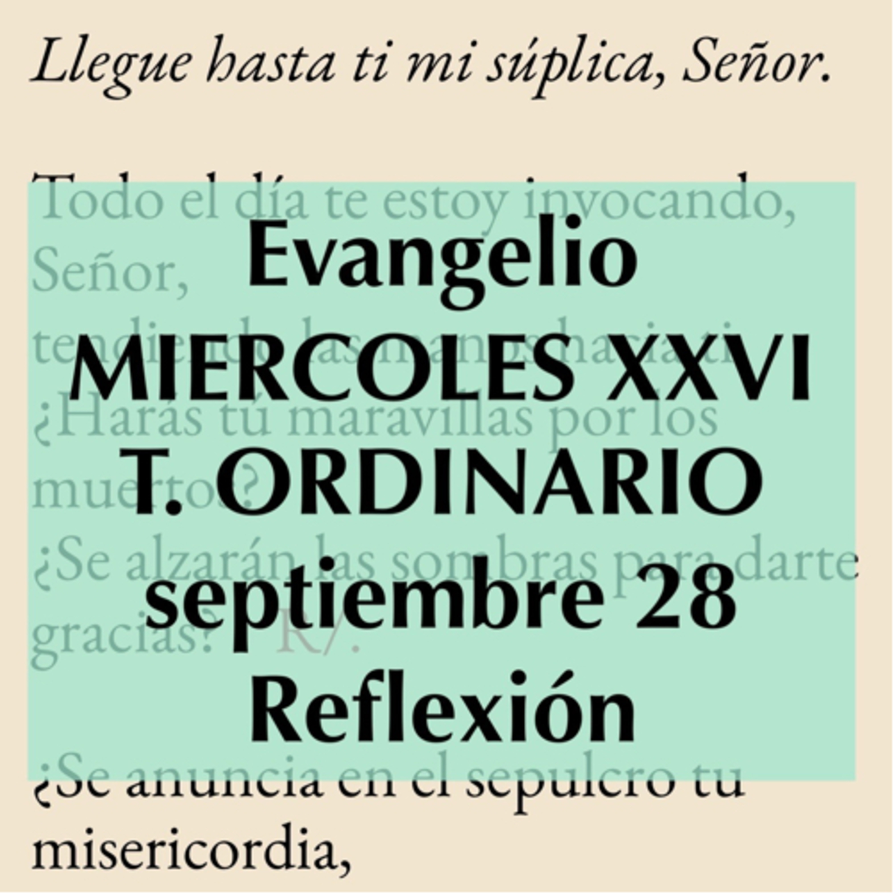 Reflexiones para orar