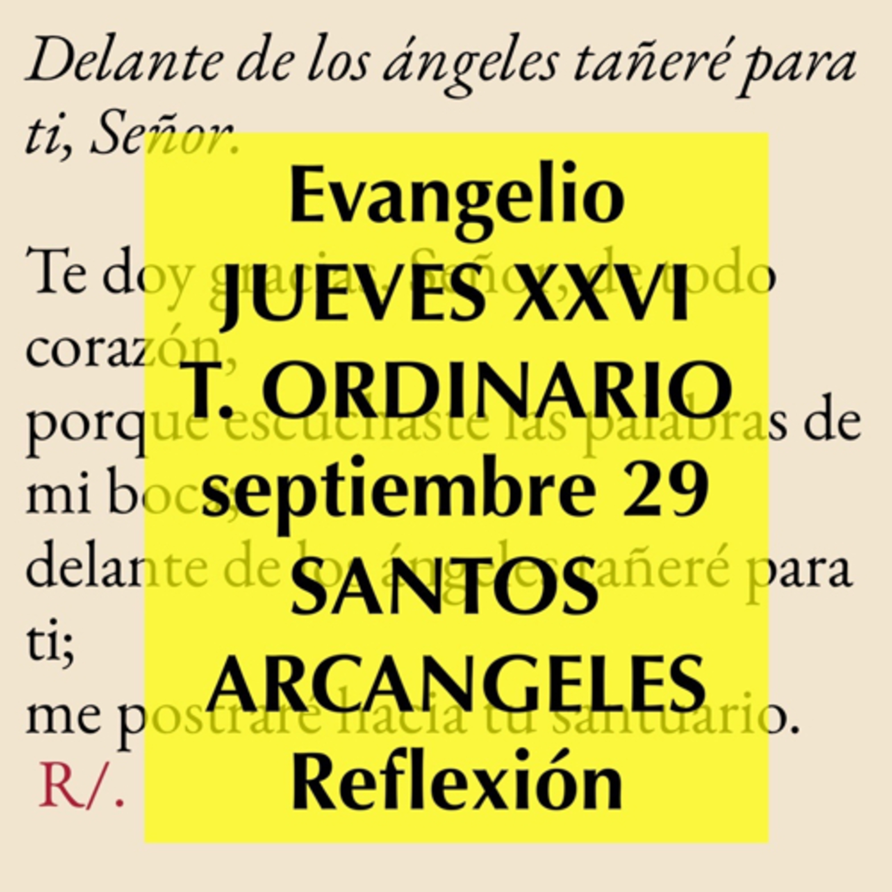 Reflexiones para orar