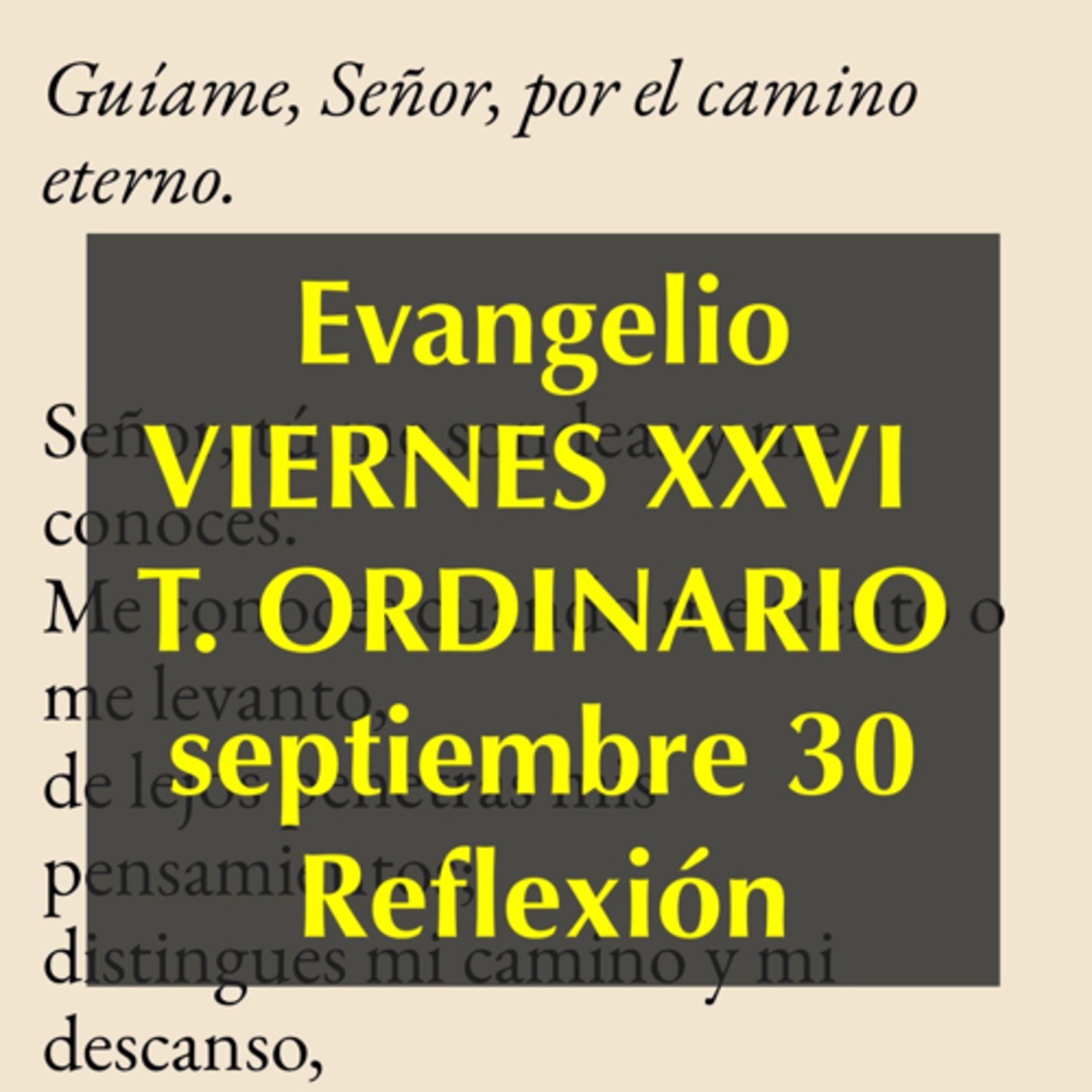 Reflexiones para orar