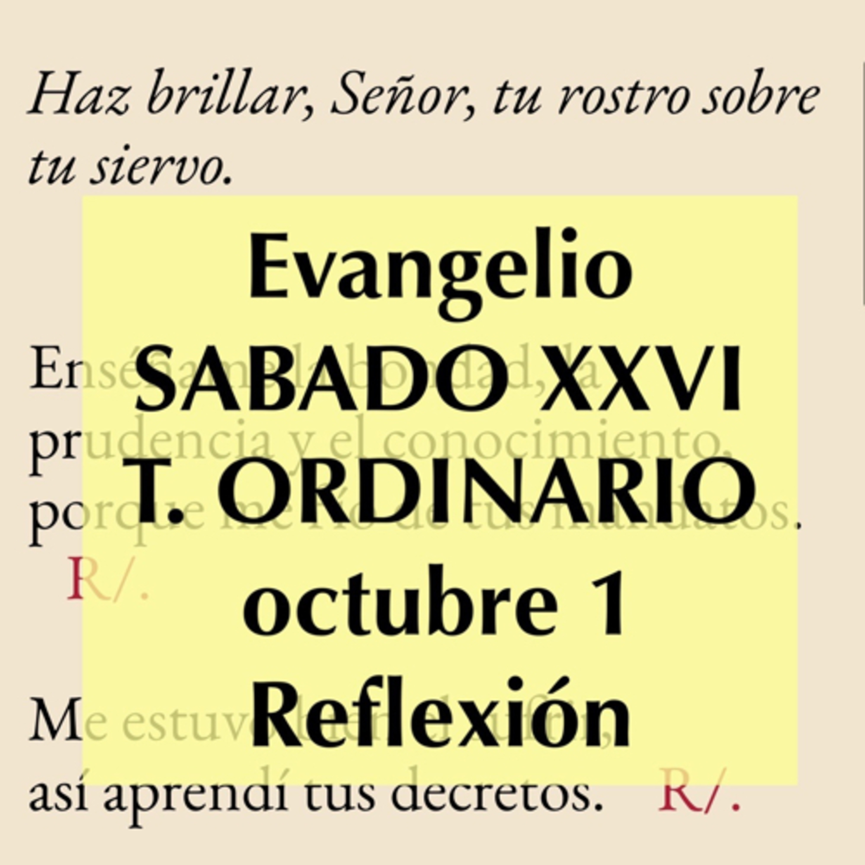 Reflexiones para orar