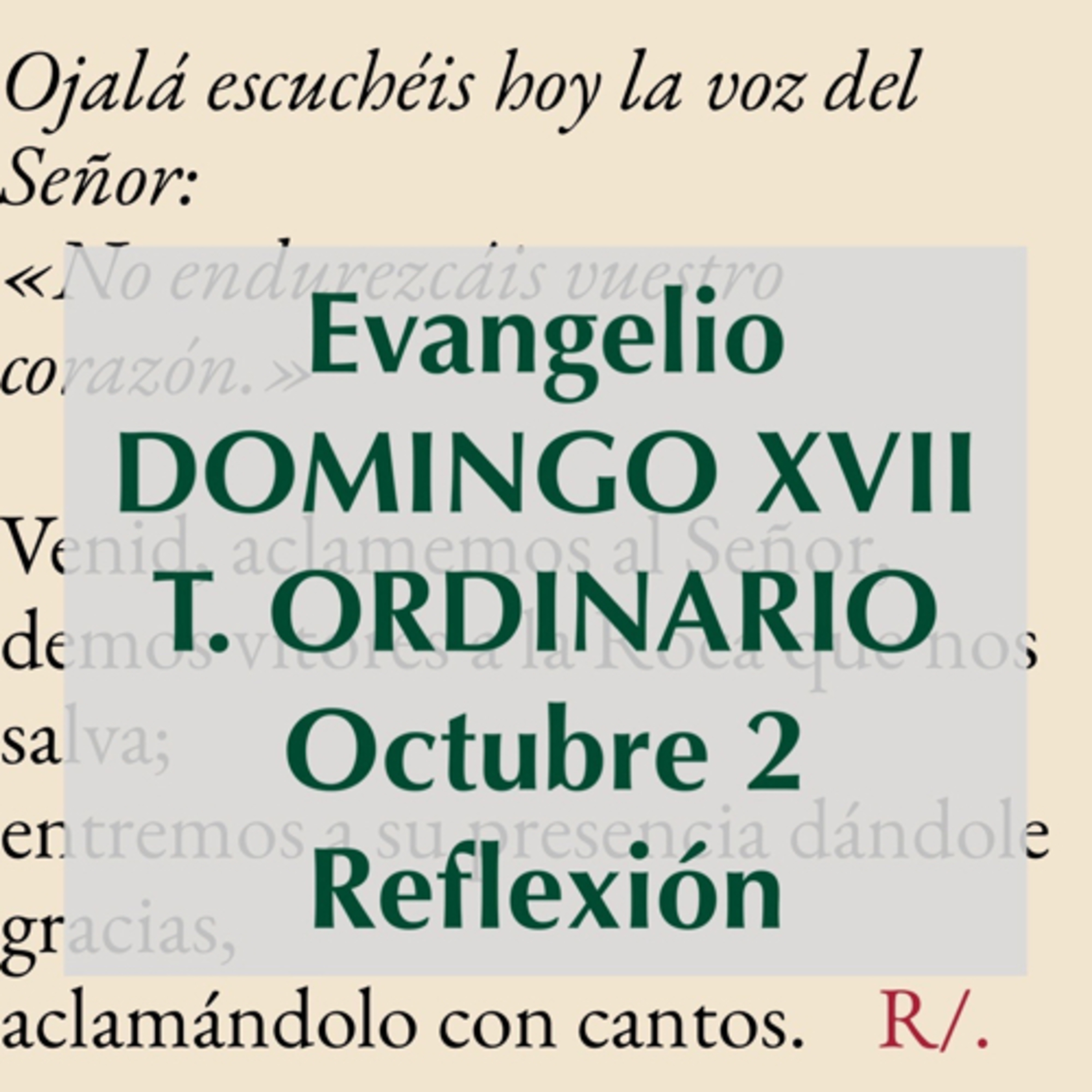 Reflexiones para orar