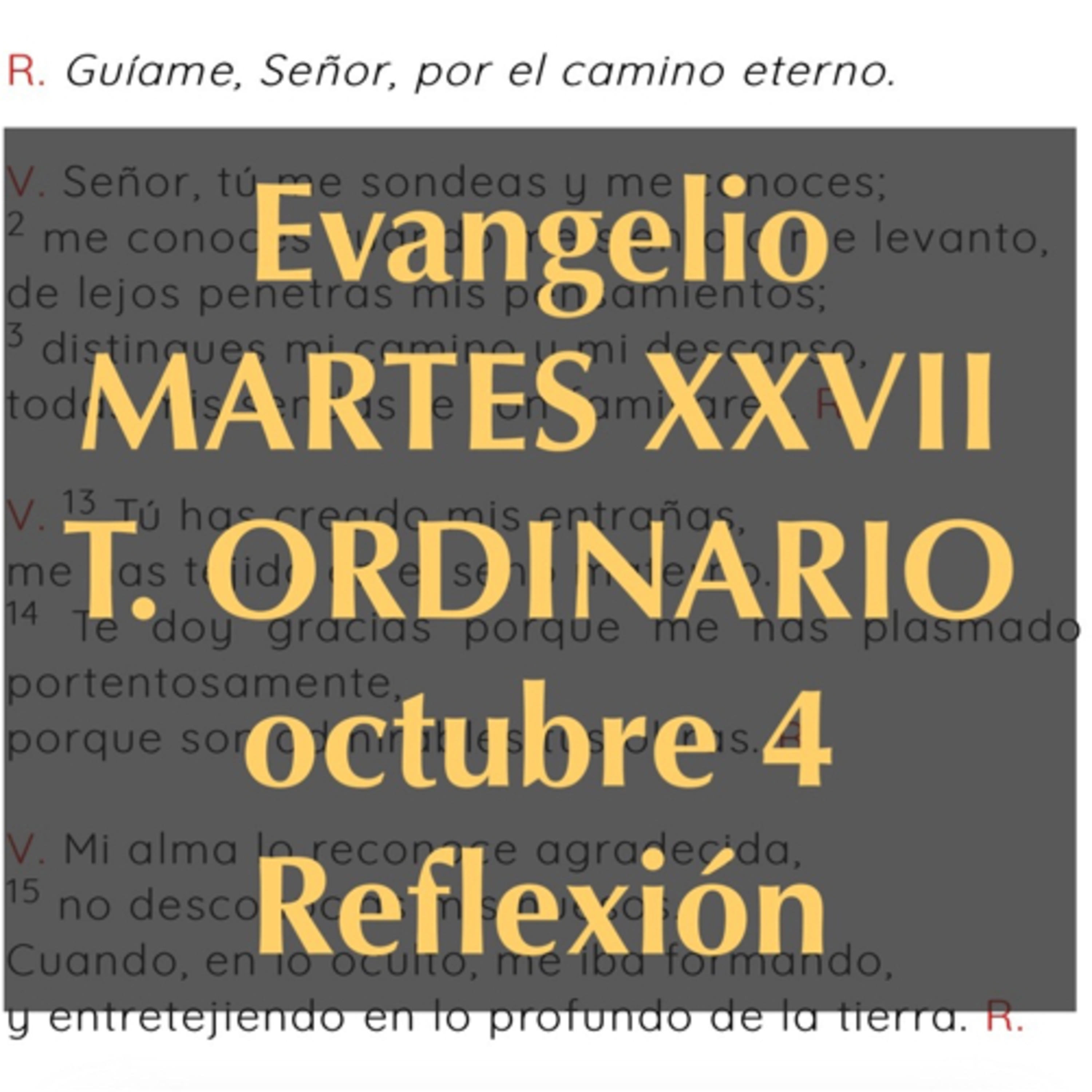 Reflexiones para orar