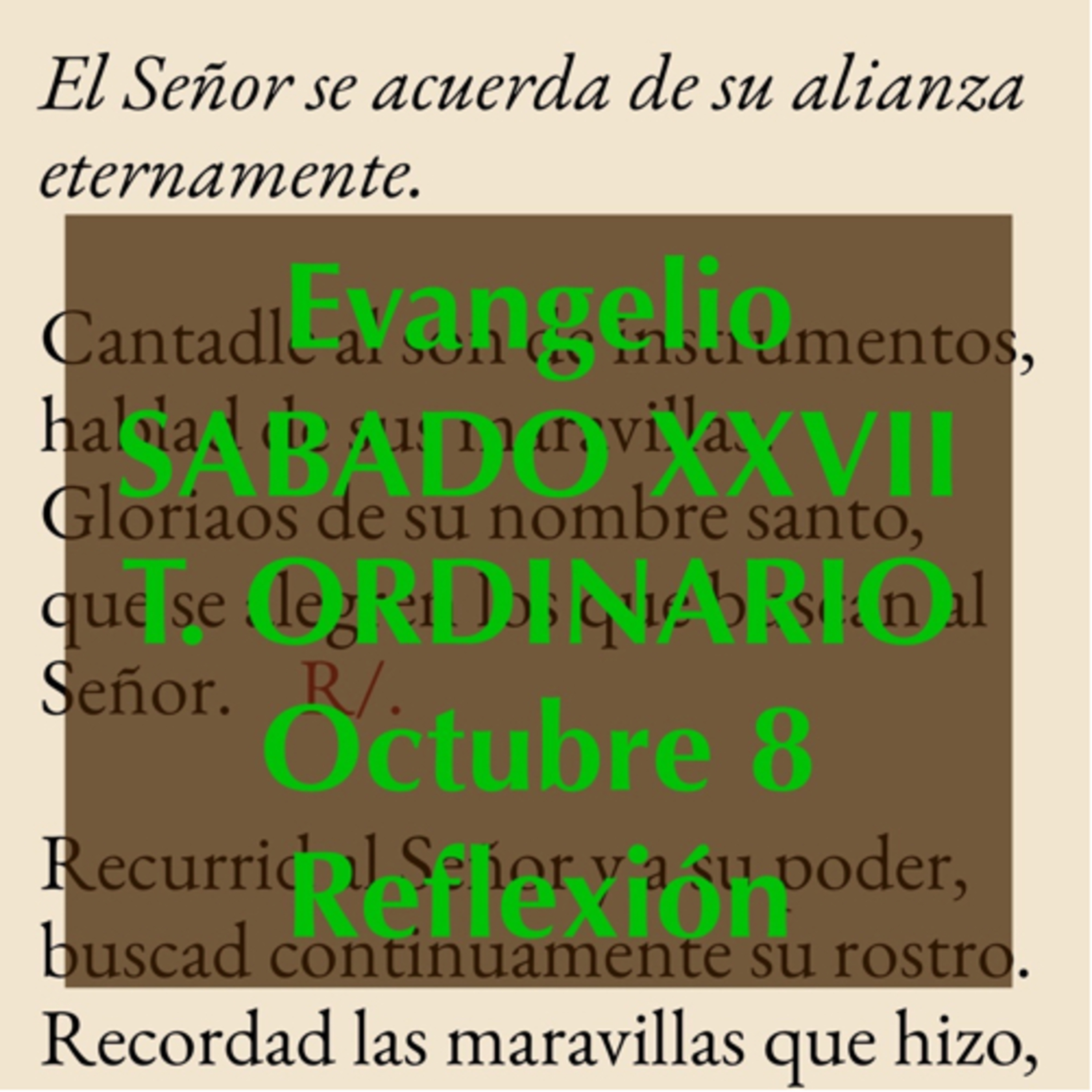 Reflexiones para orar