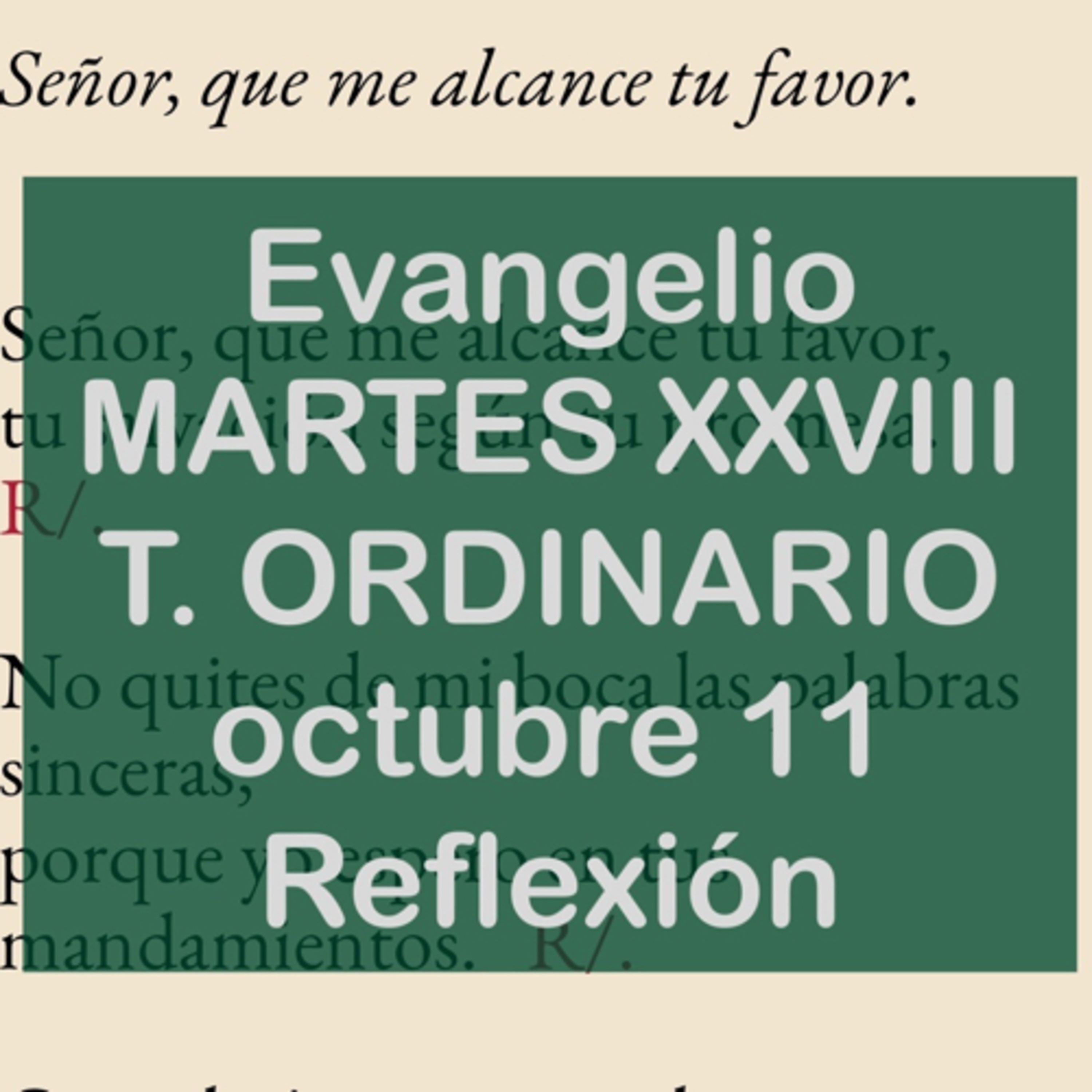 Reflexiones para orar