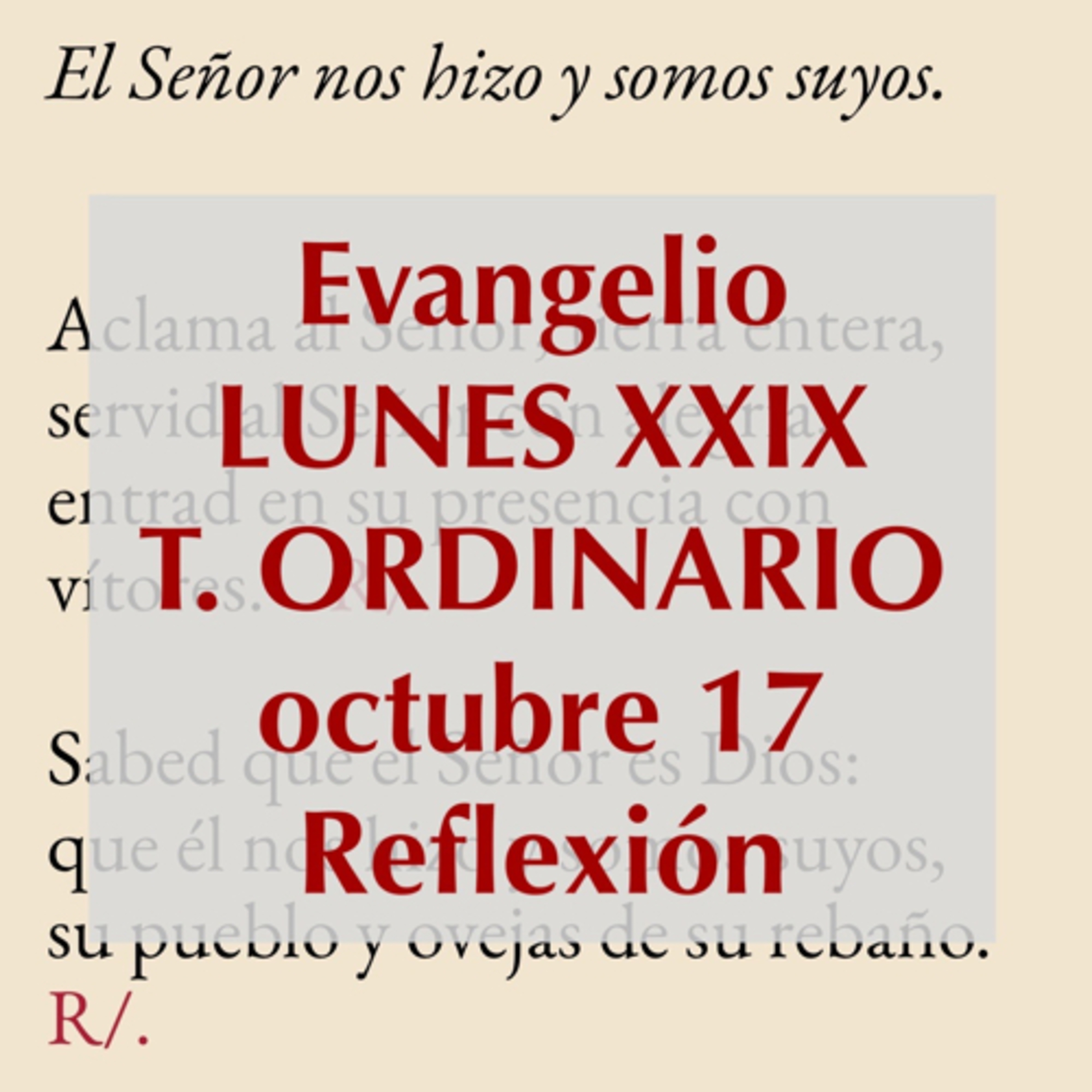 Reflexiones para orar