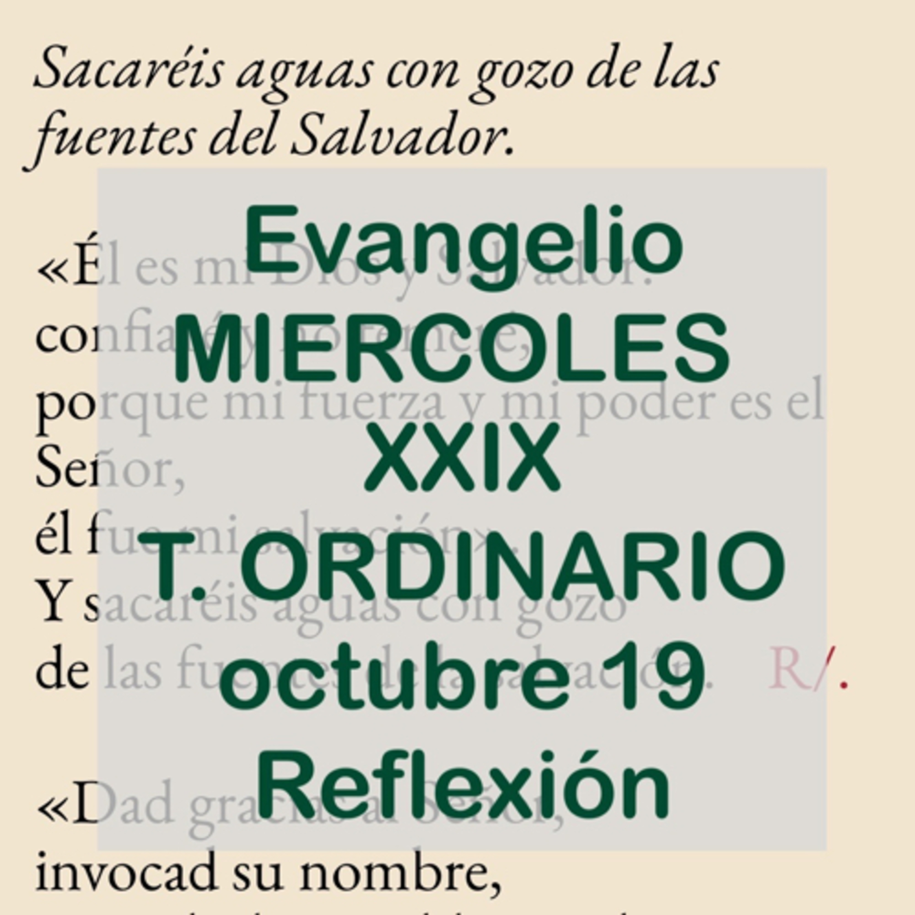 Reflexiones para orar