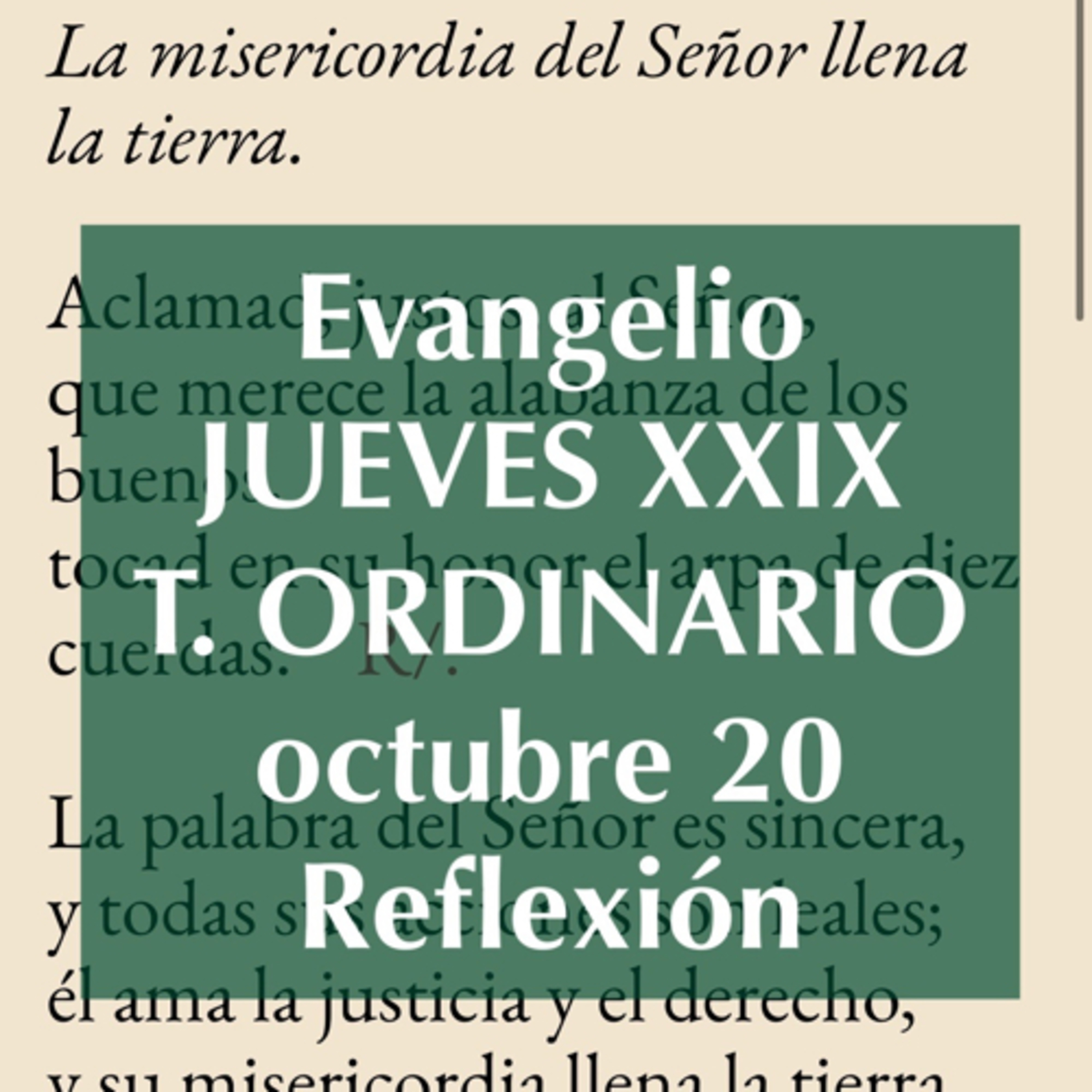 Reflexiones para orar