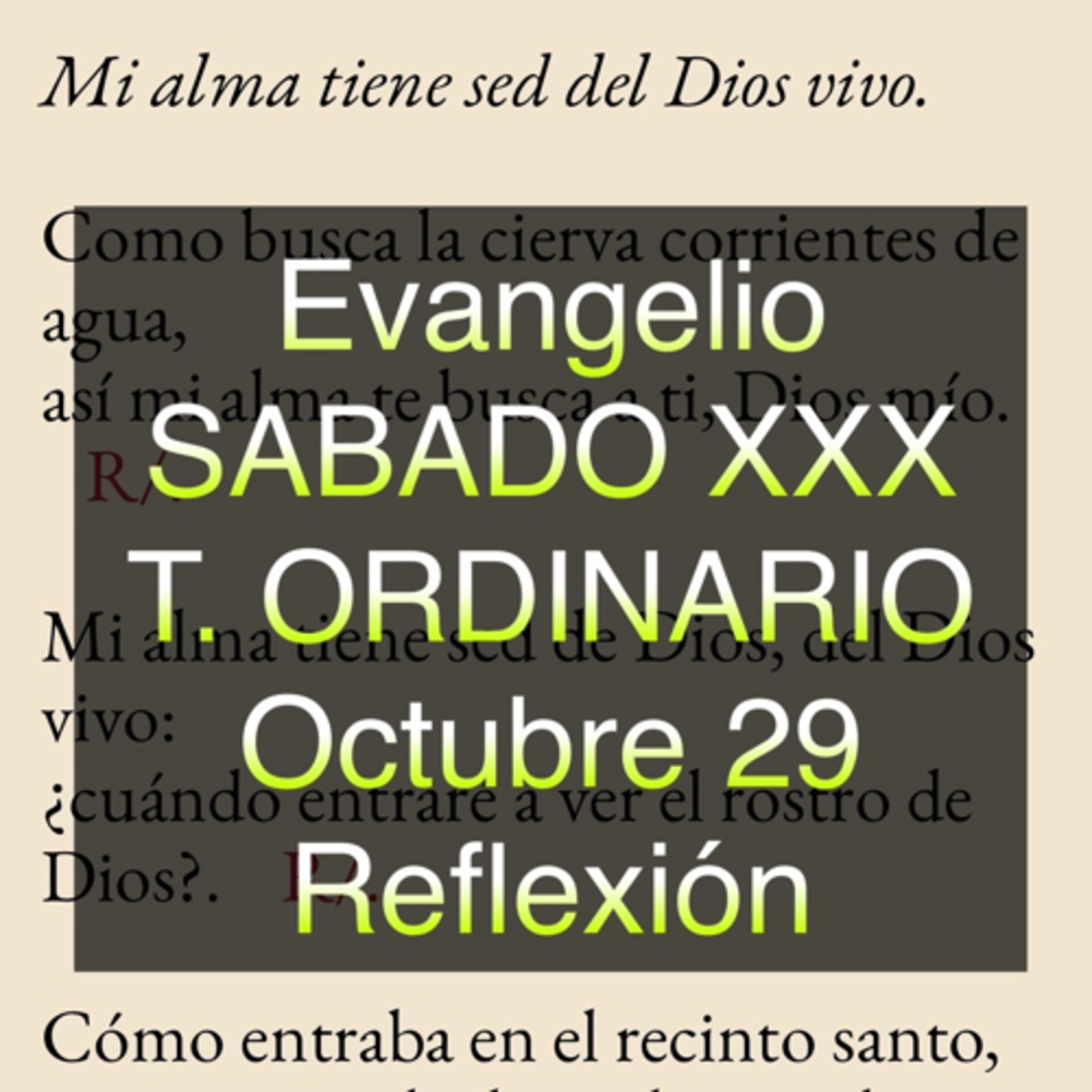 Reflexiones para orar