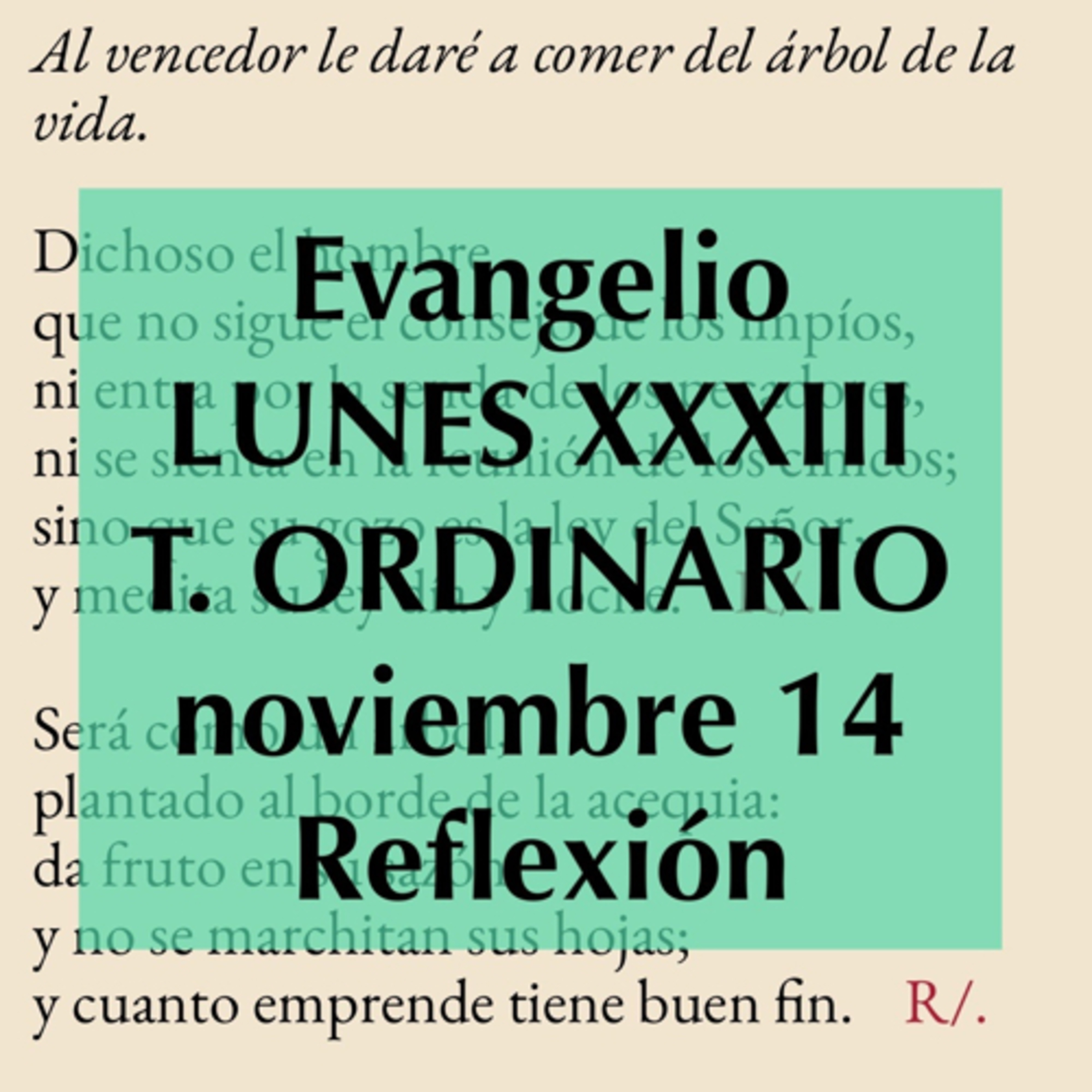 Reflexiones para orar