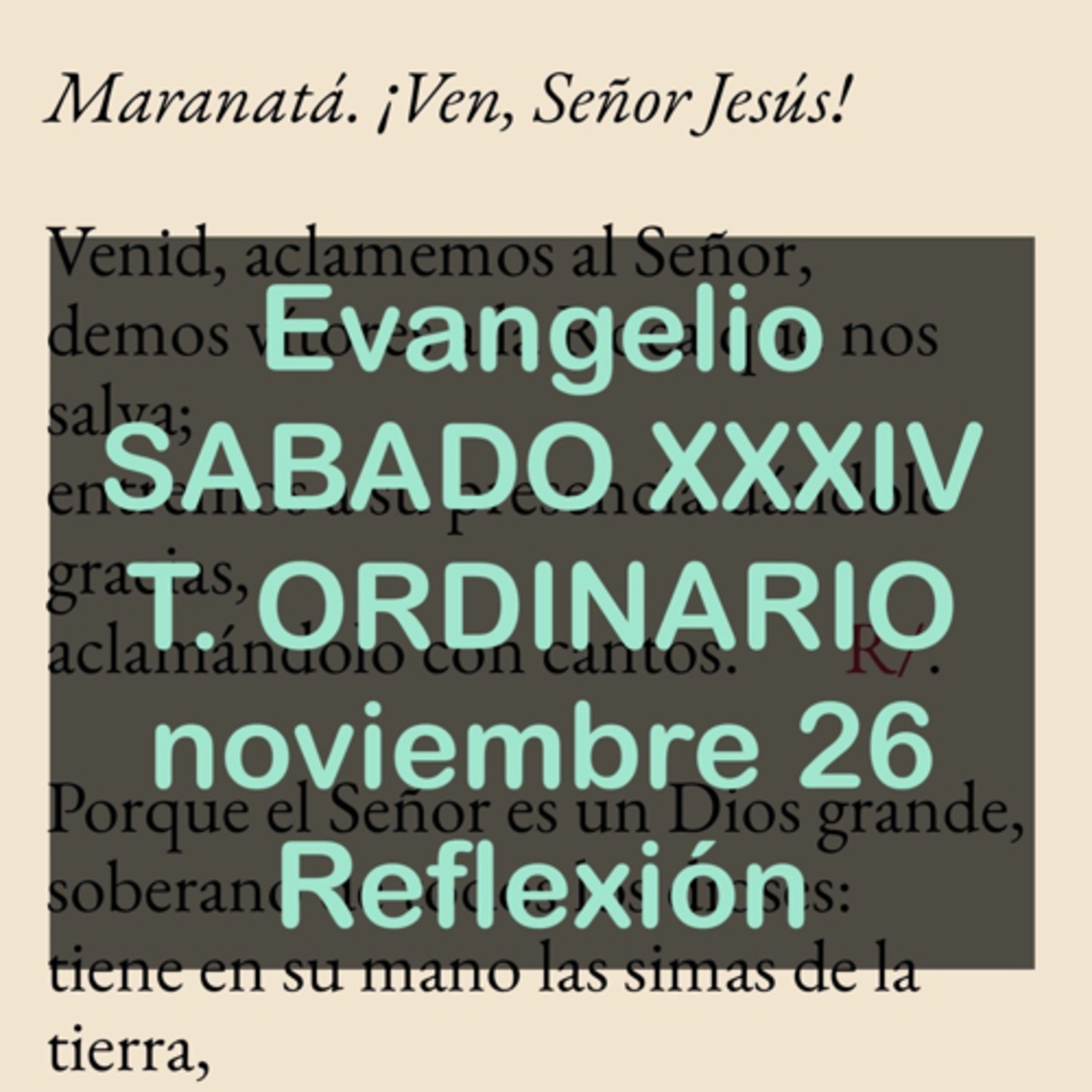 Reflexiones para orar