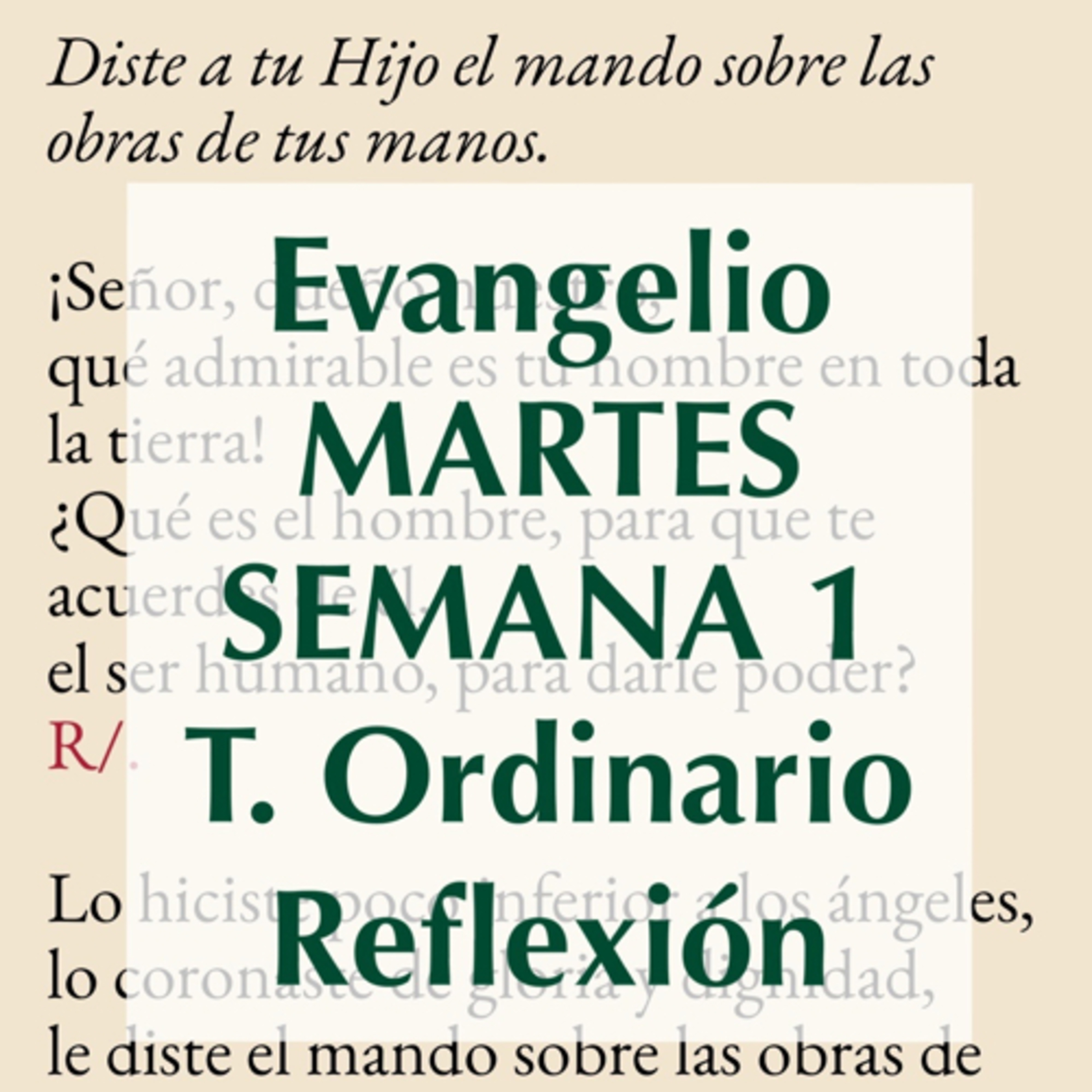 Reflexiones para orar