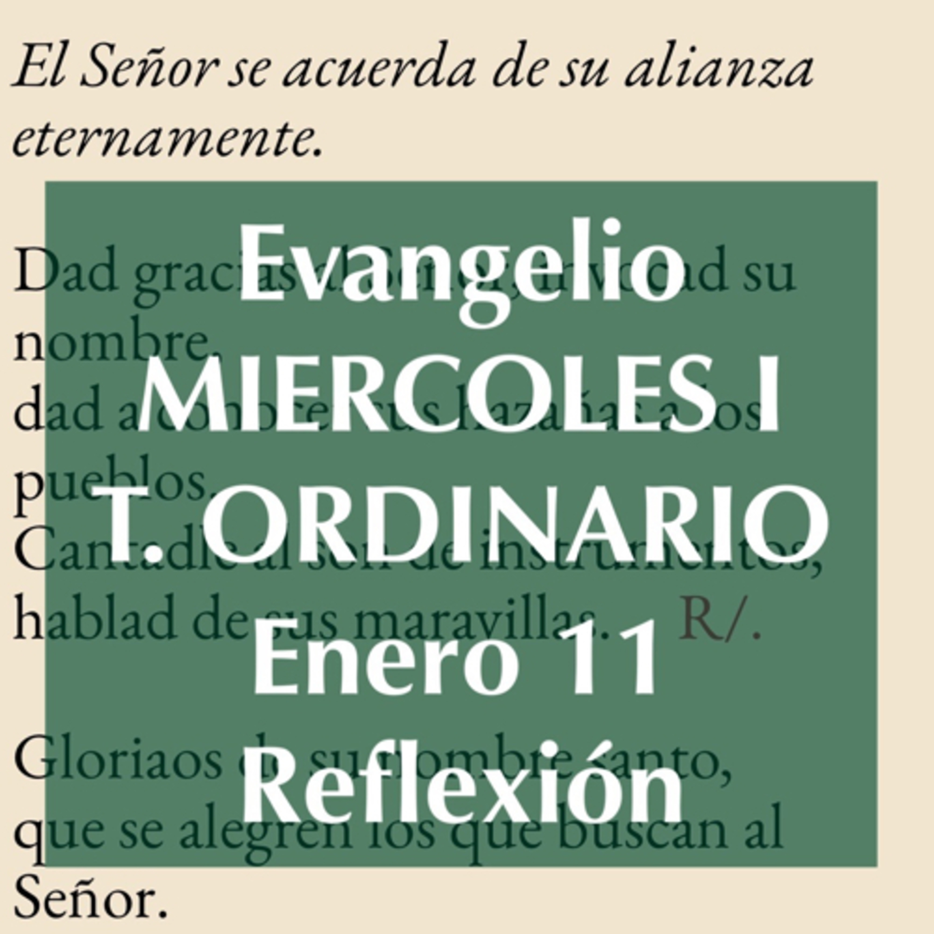 Reflexiones para orar