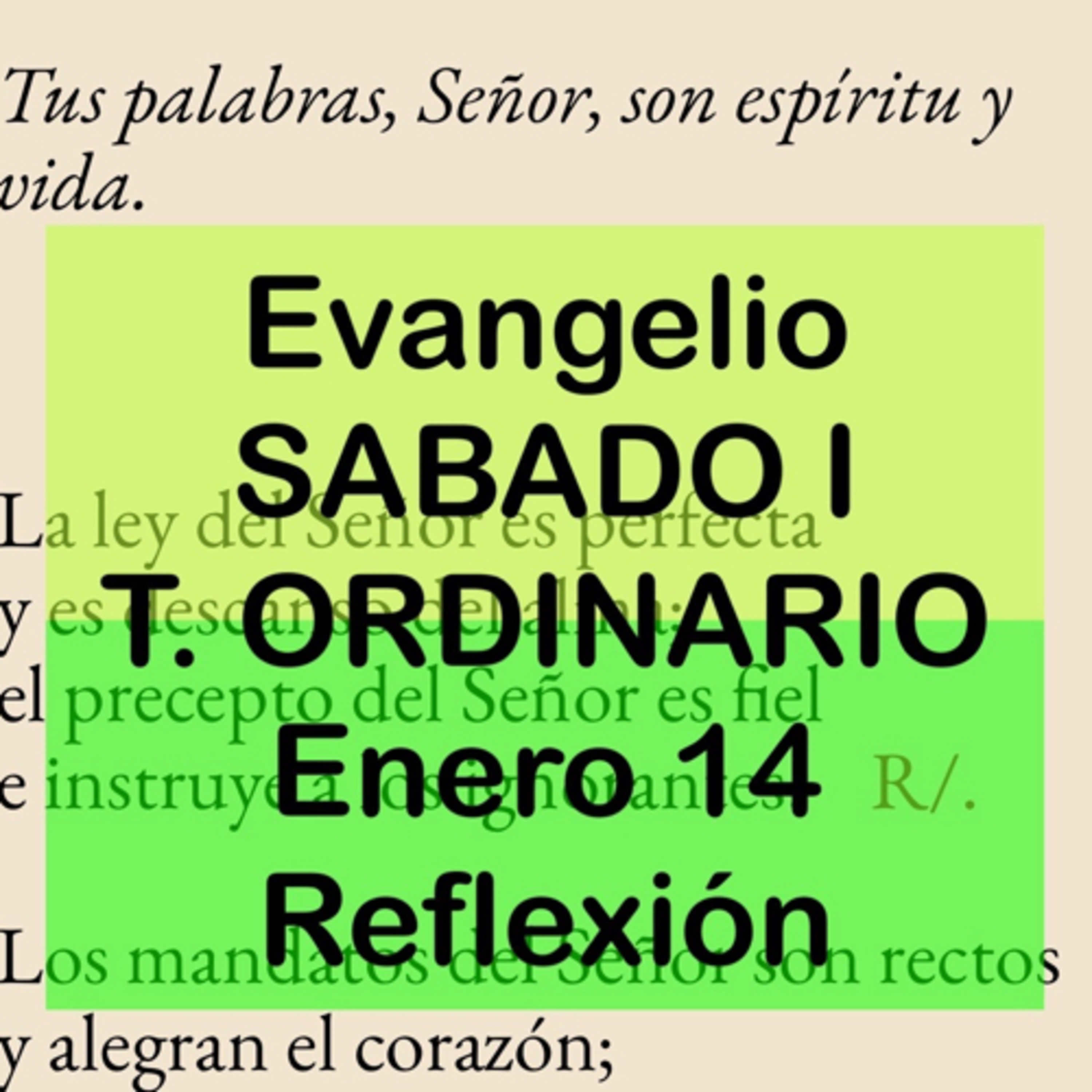 Reflexiones para orar