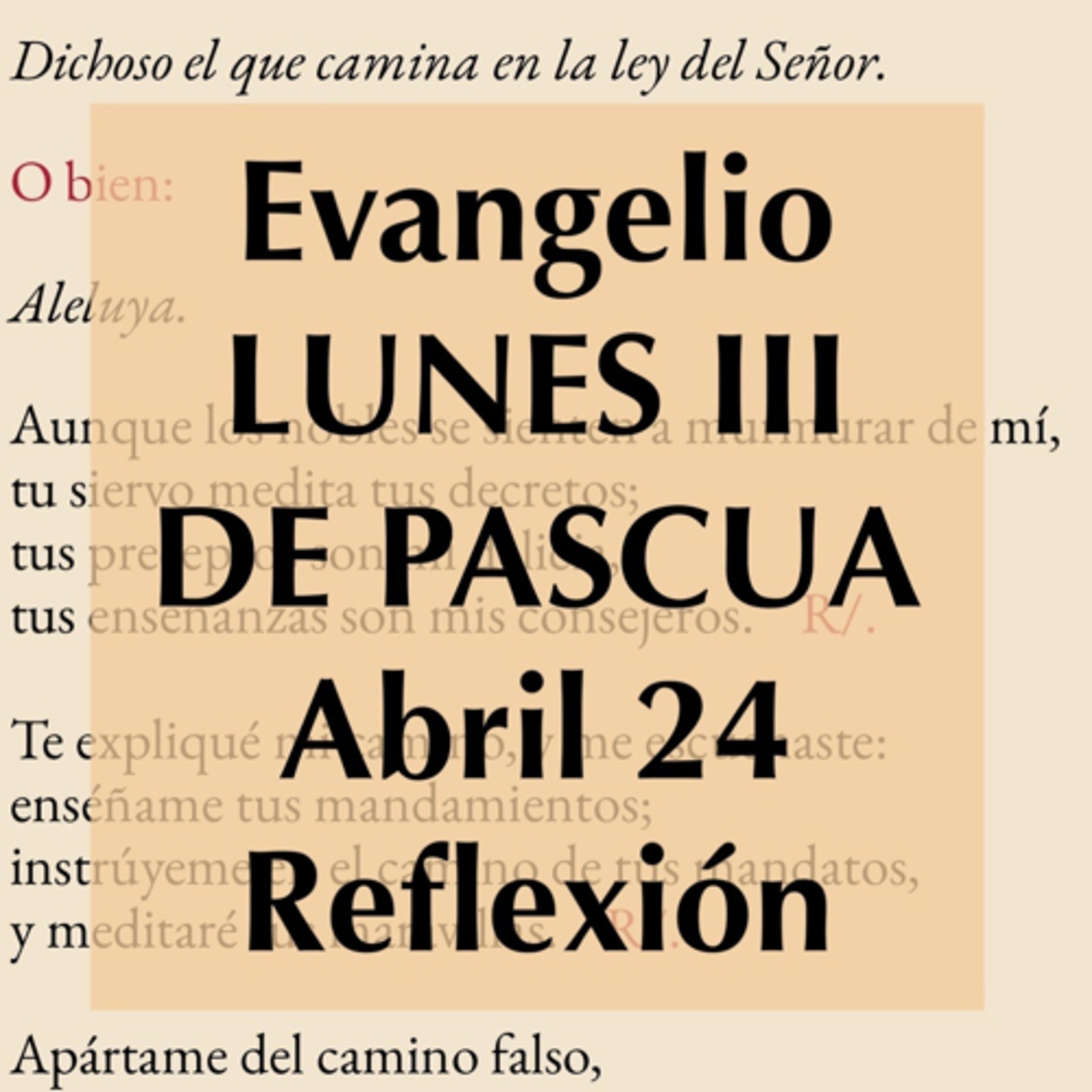 Reflexiones para orar