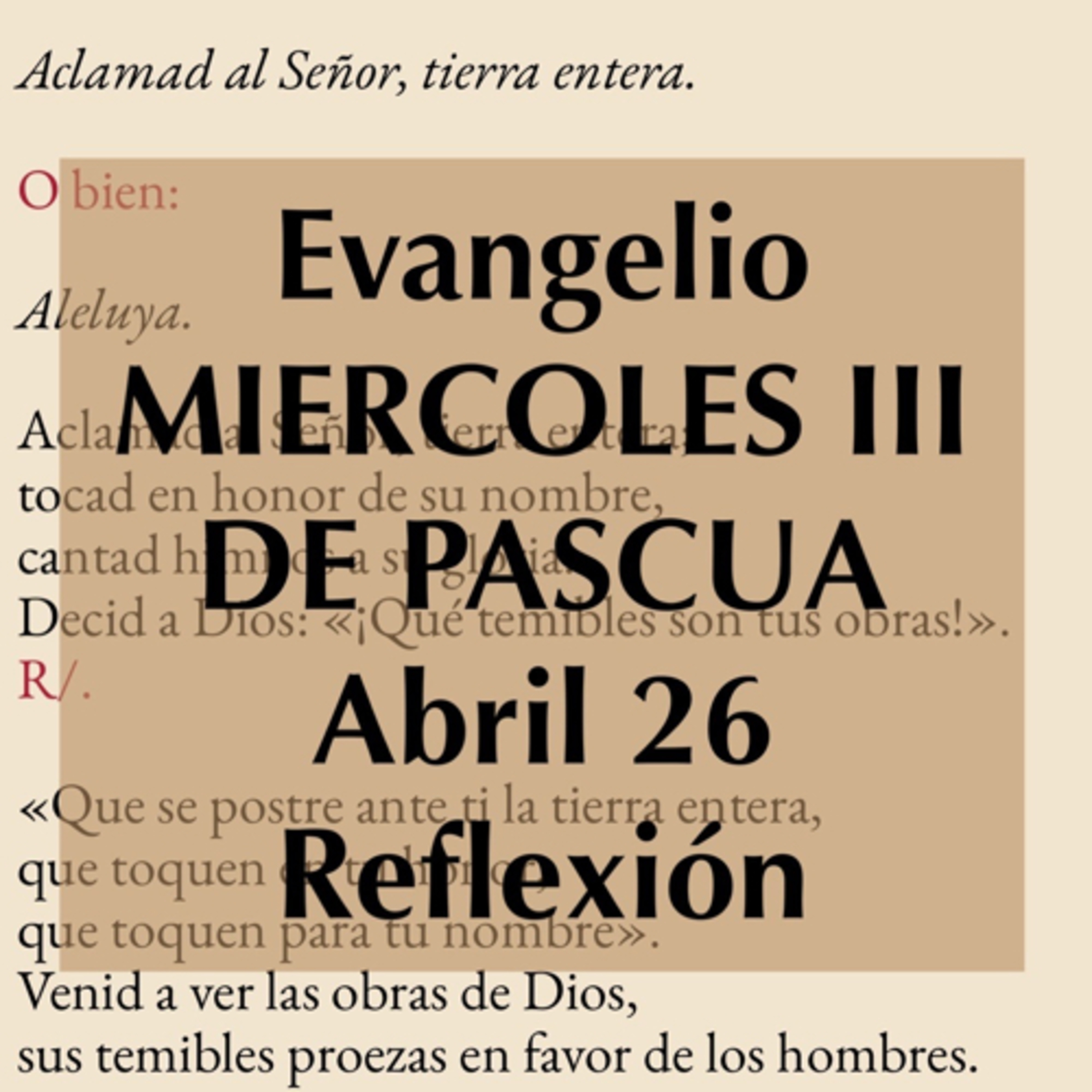 Reflexiones para orar