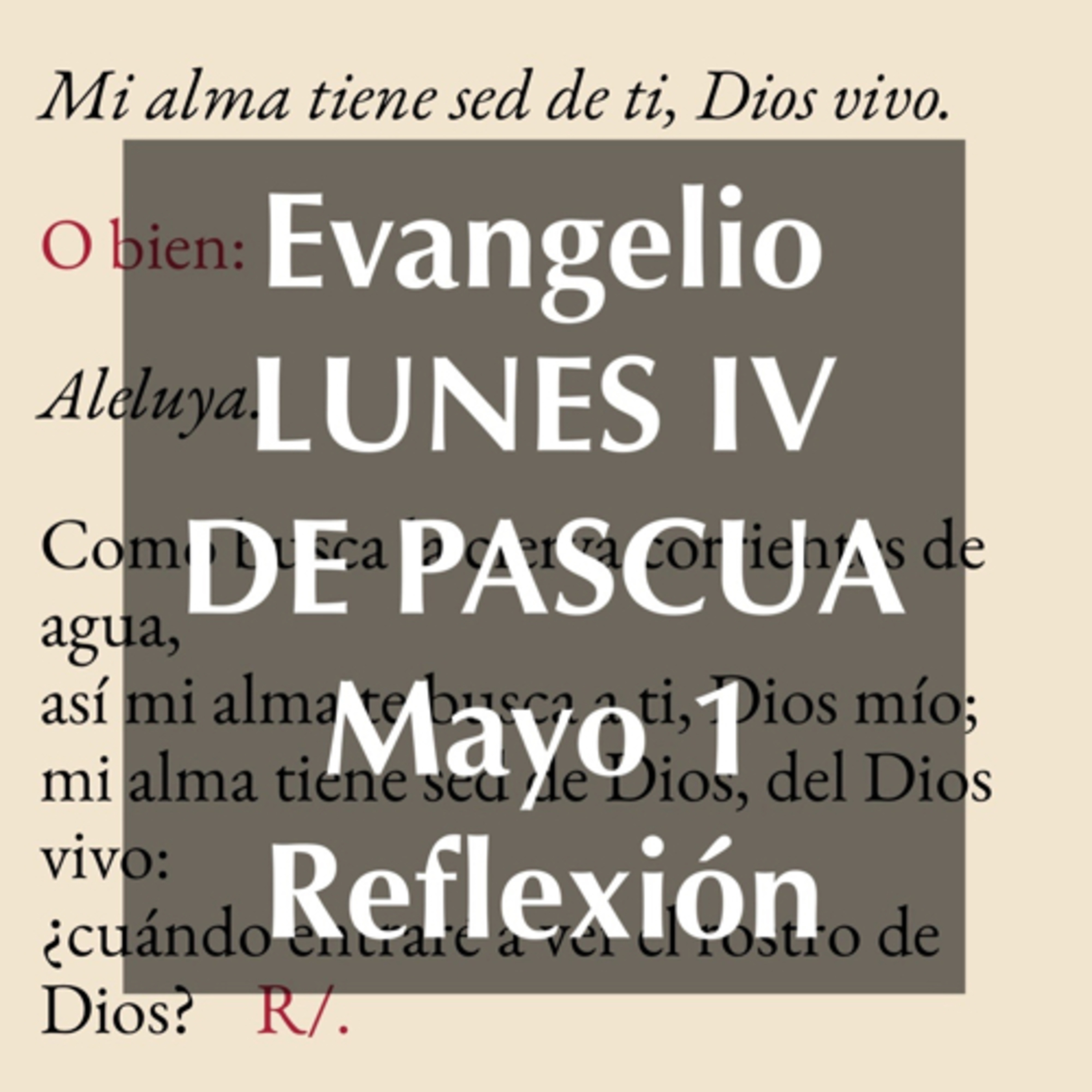 Reflexiones para orar