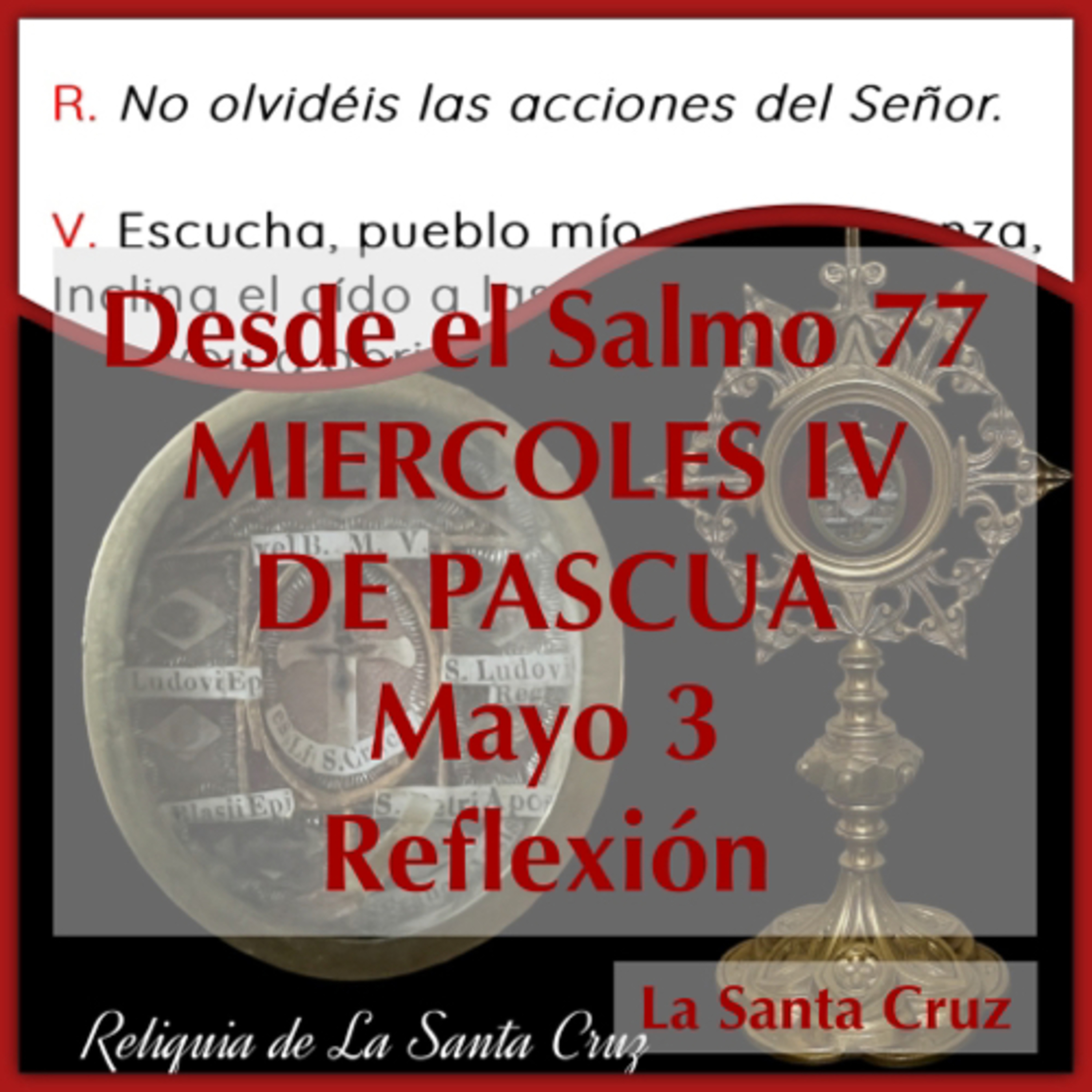 Reflexiones para orar