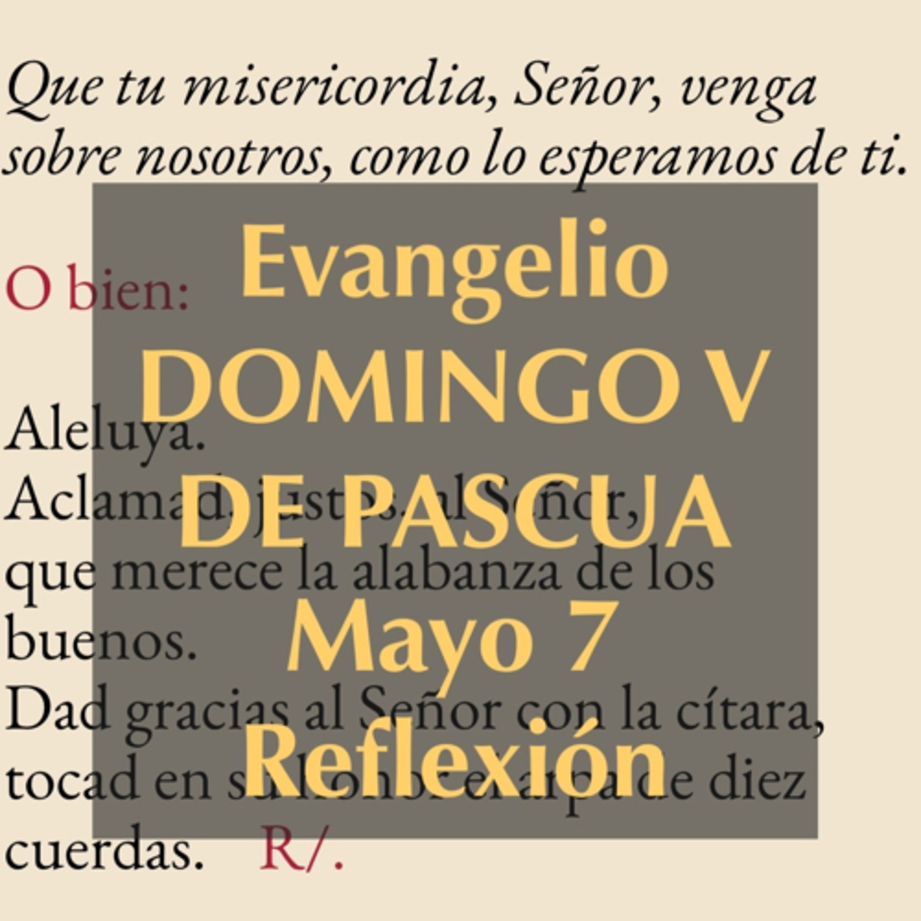 Reflexiones para orar