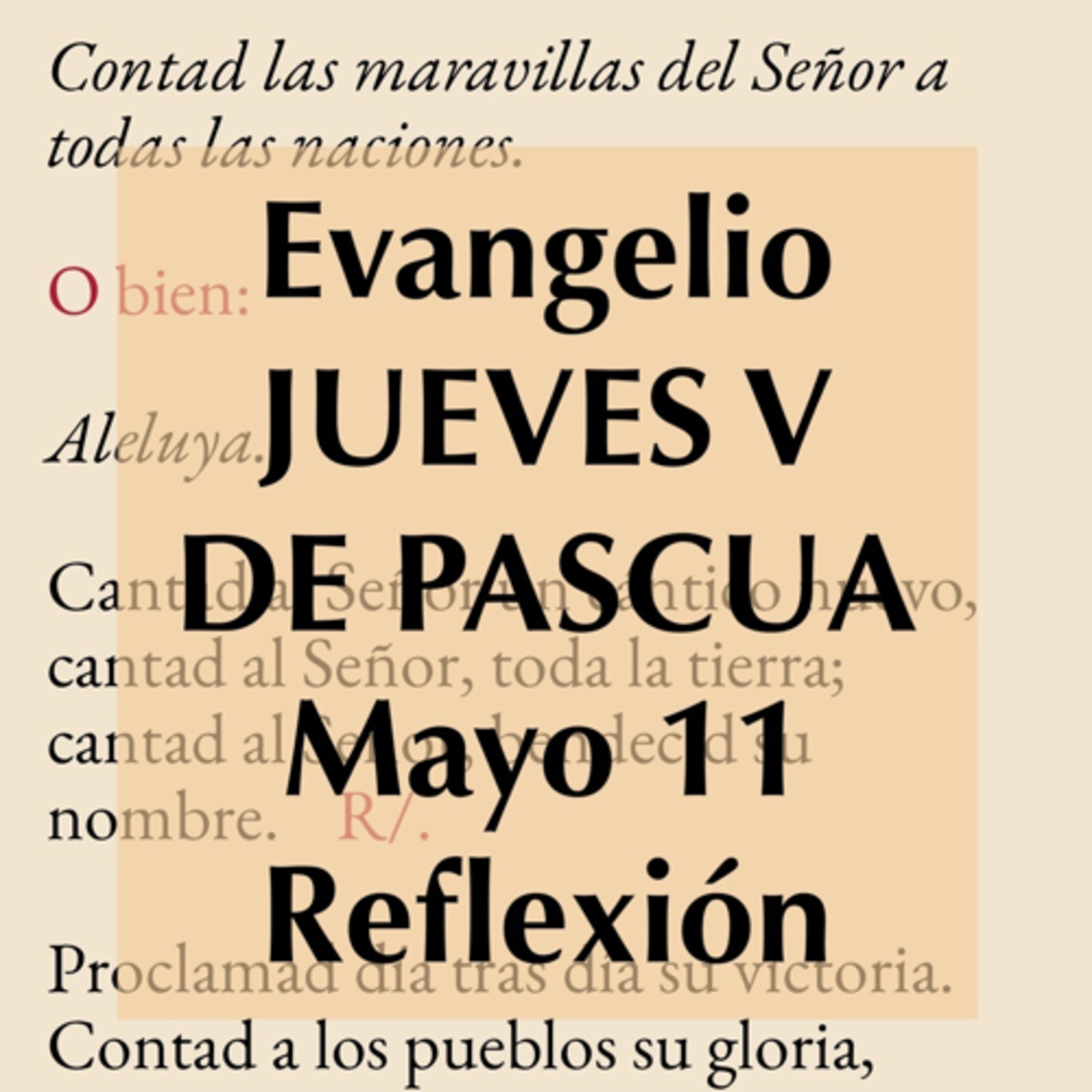 Reflexiones para orar