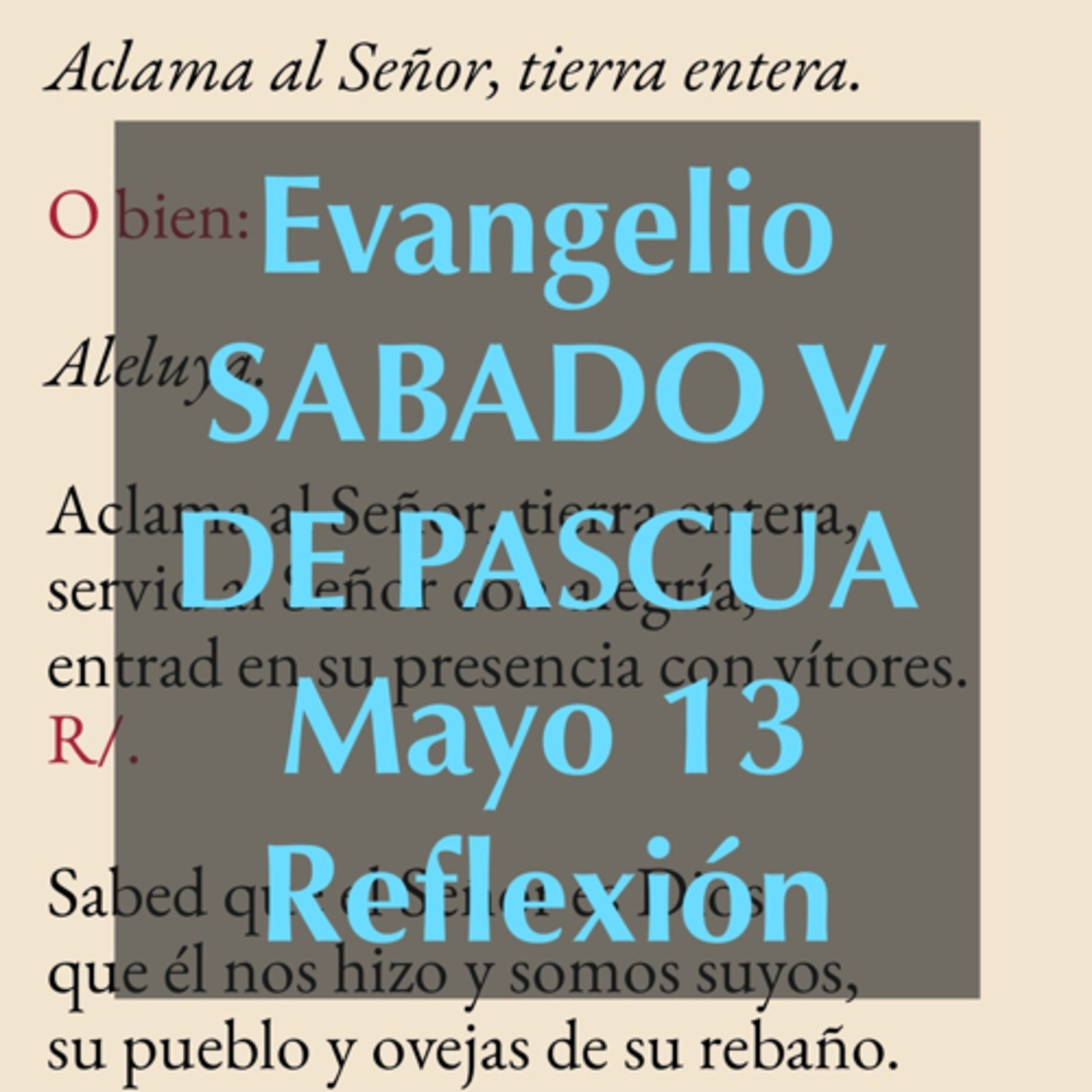 Reflexiones para orar