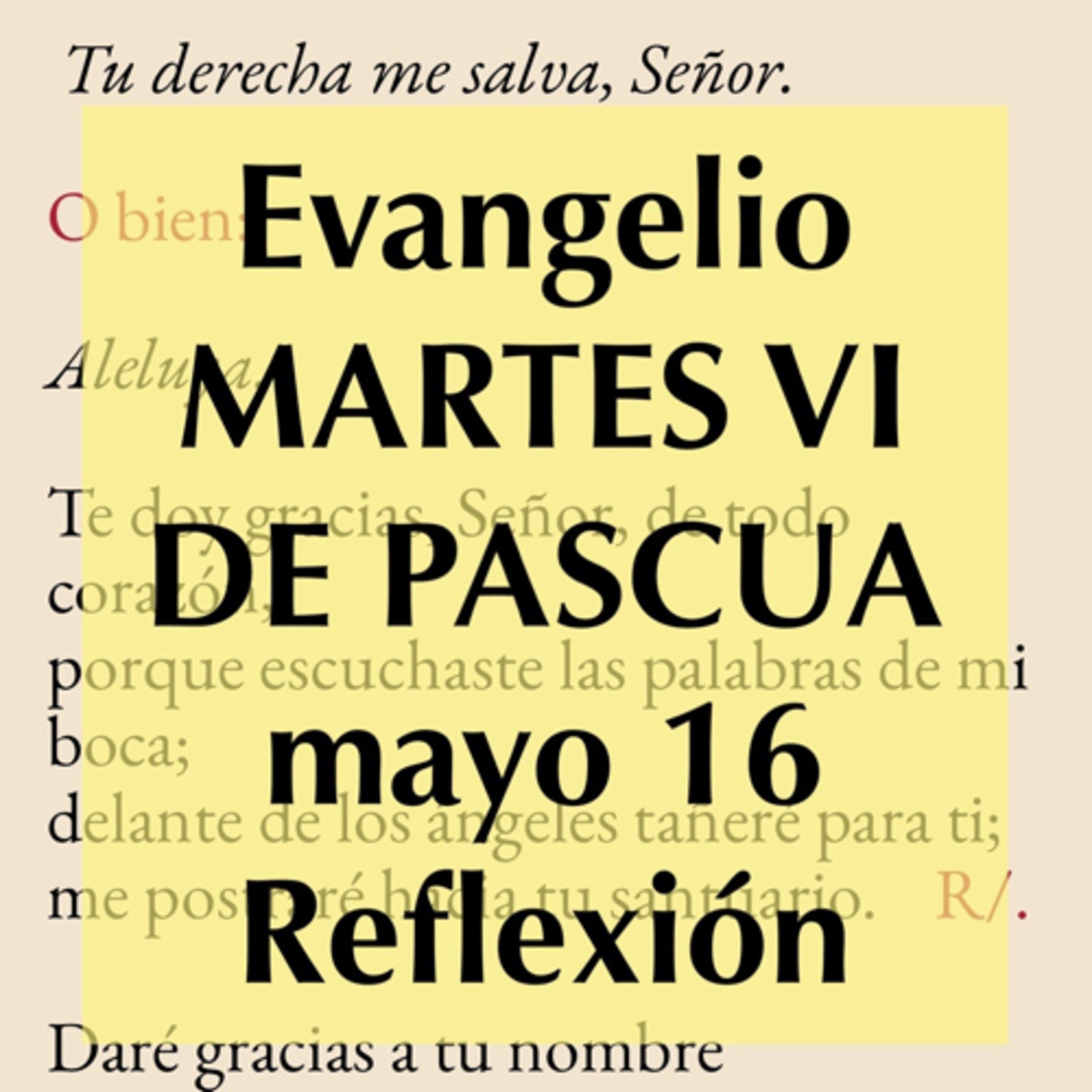 Reflexiones para orar