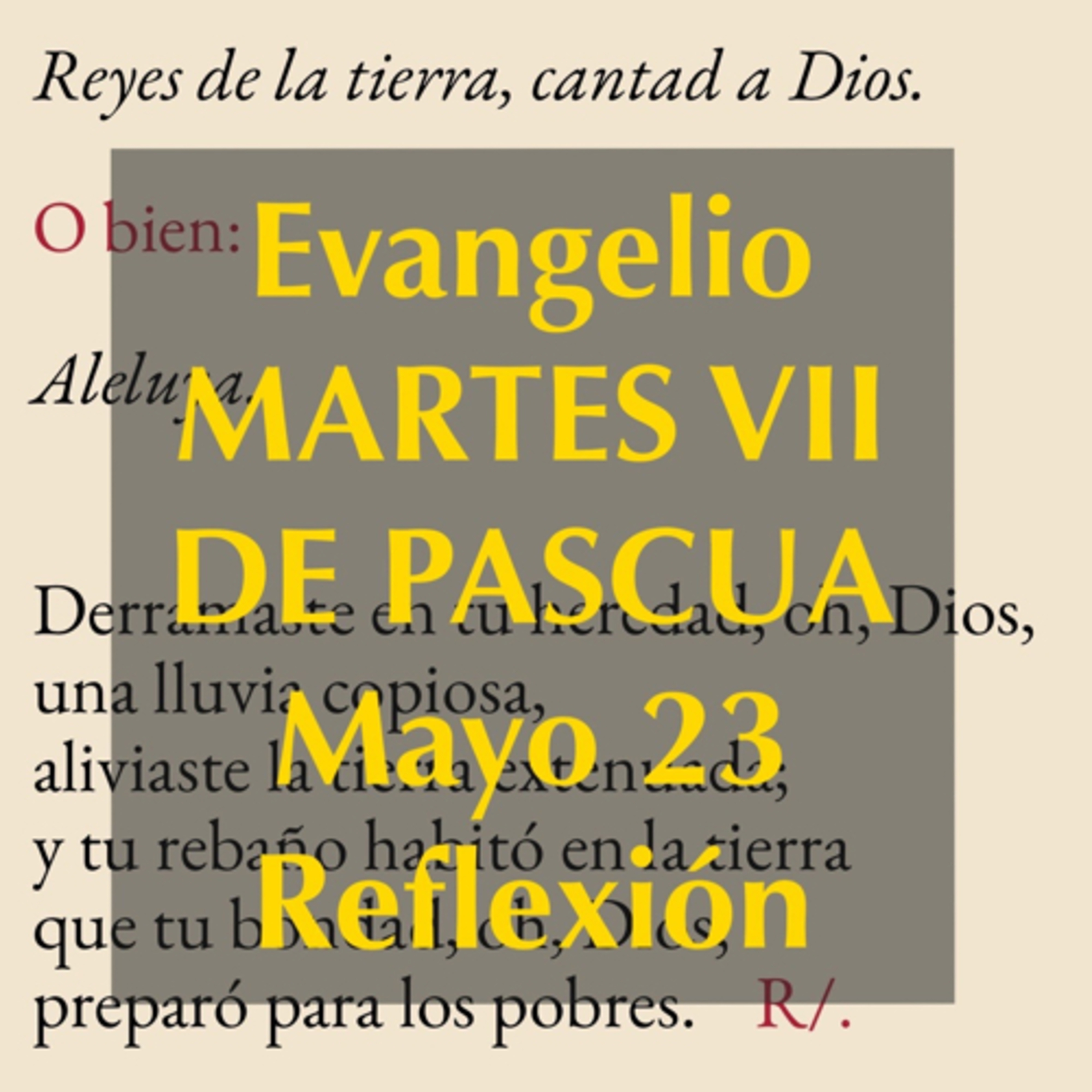 Reflexiones para orar