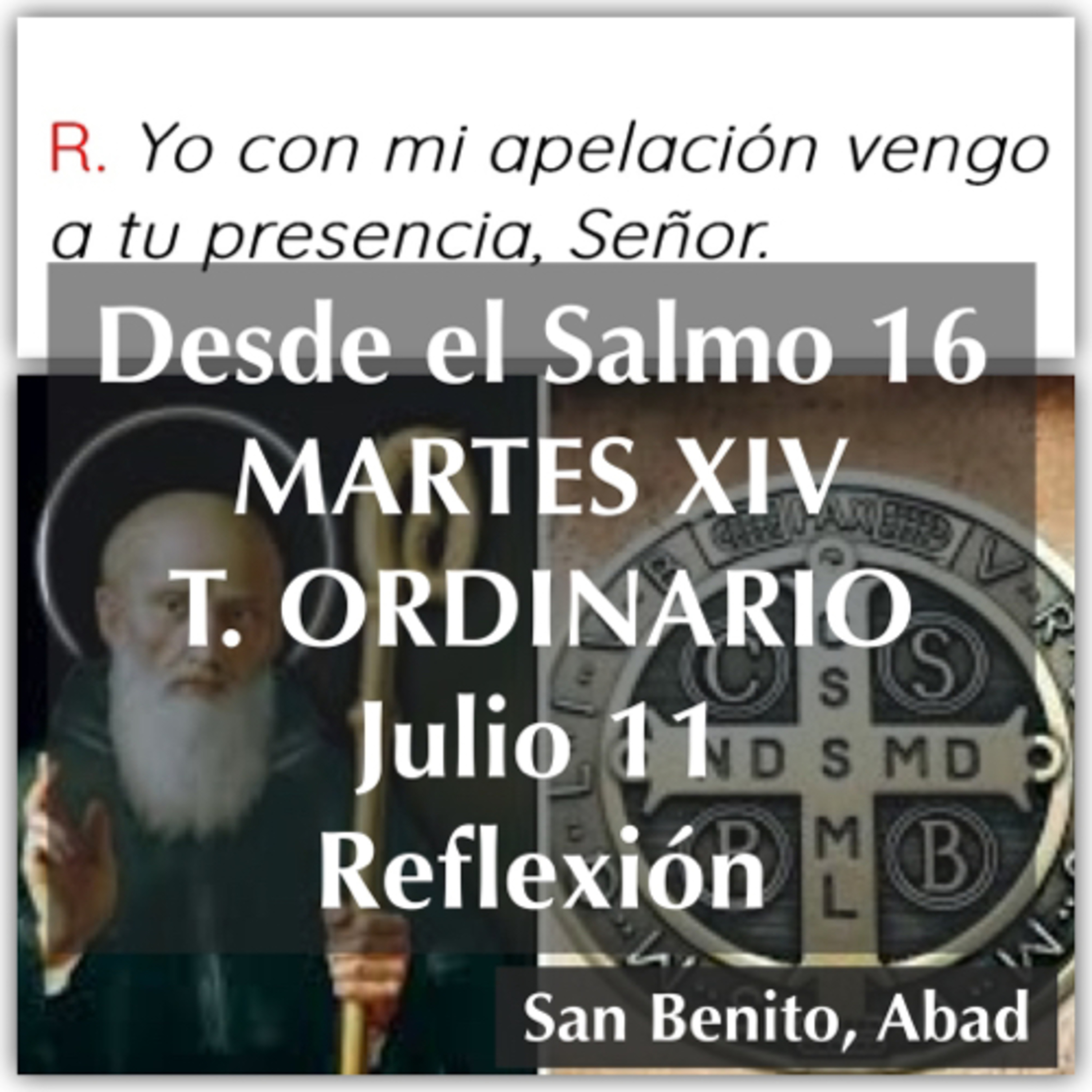 MARTES XIV DE TIEMPO ORDINARIO. Julio 11. Evangelio y reflexión. SAN BENITO ABAD episode artwork
