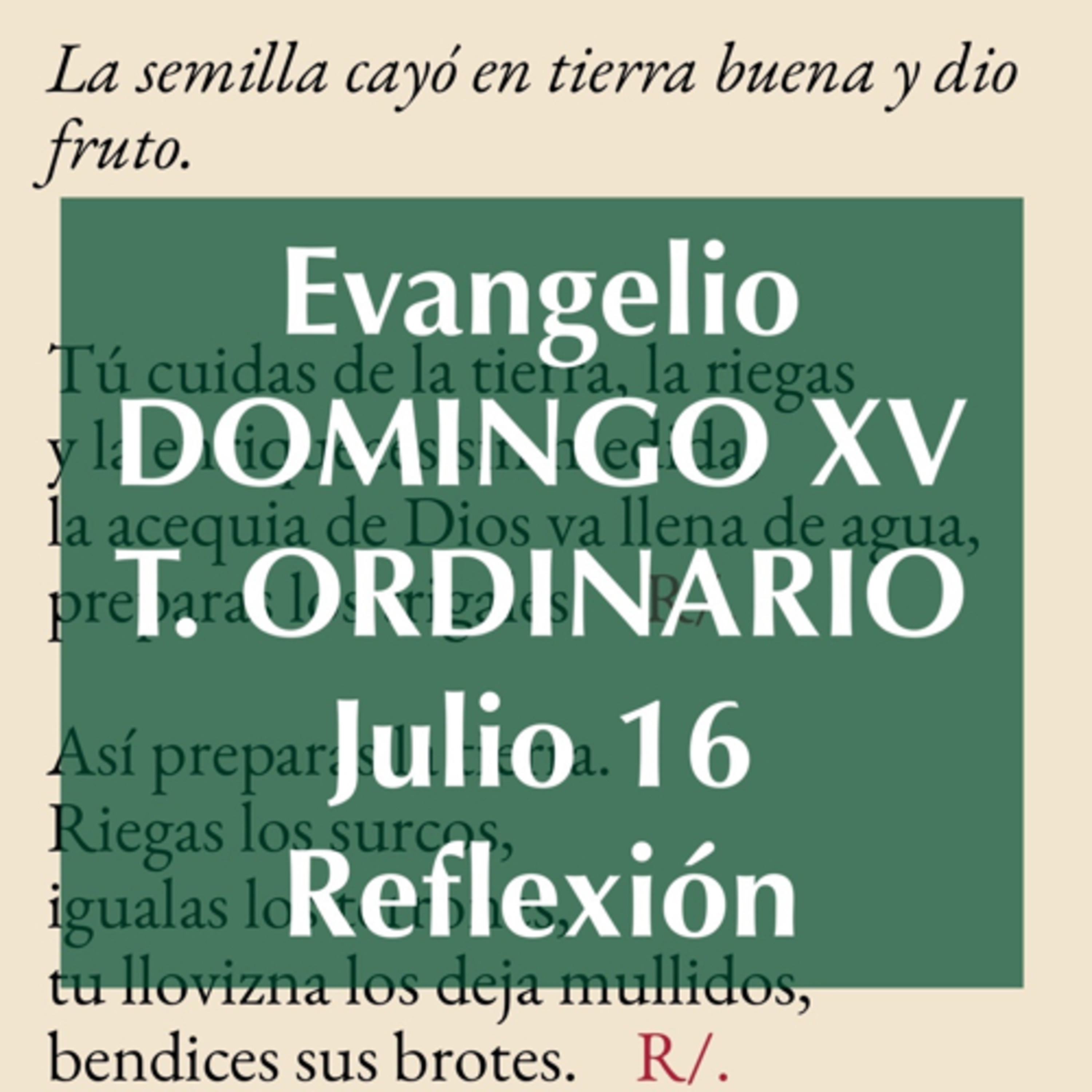 DOMINGO XV DE TIEMPO ORDINARIO. Julio 16. Evangelio y reflexión. episode artwork