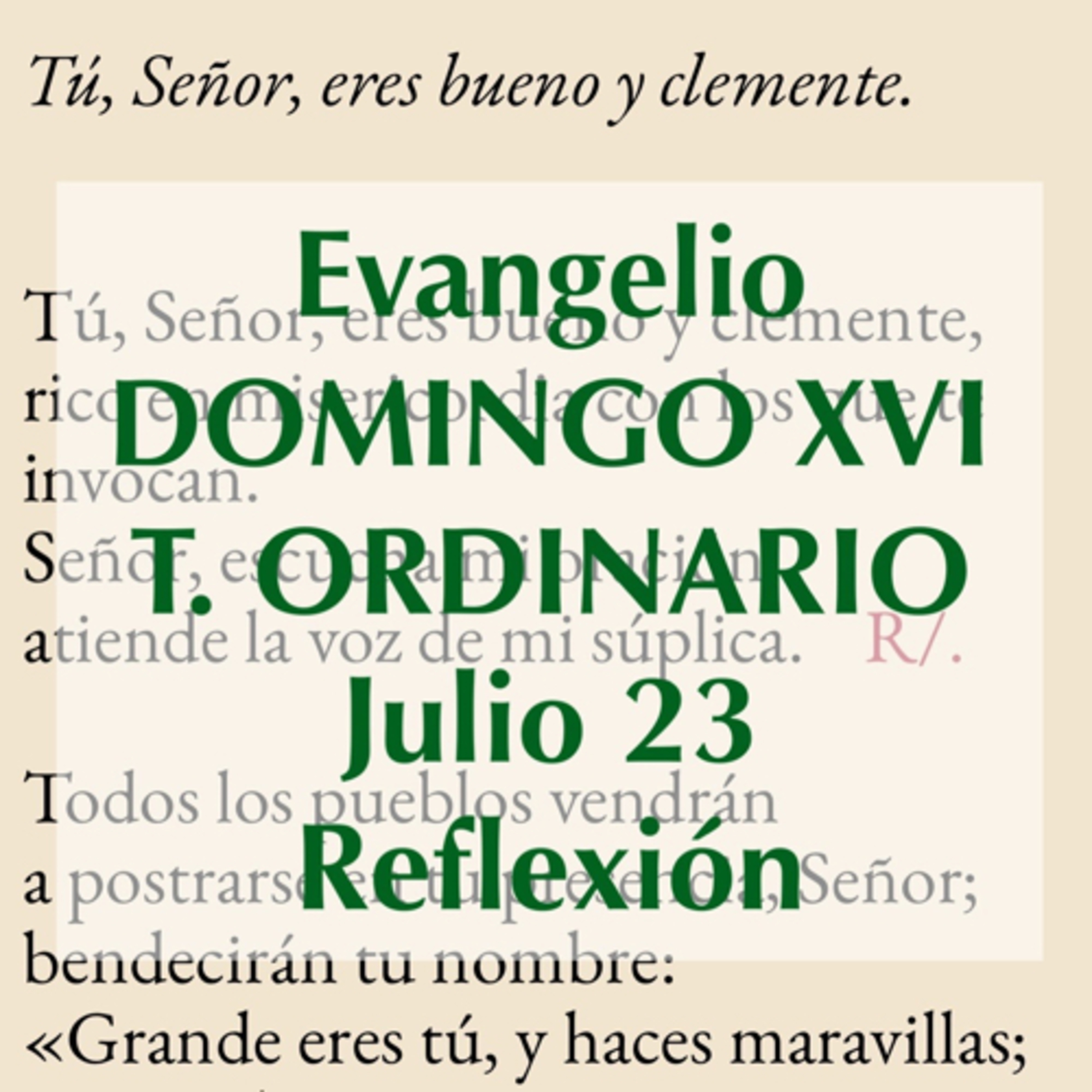 DOMINGO XVI DE TIEMPO ORDINARIO. Julio 23. Evangelio y reflexión. episode artwork
