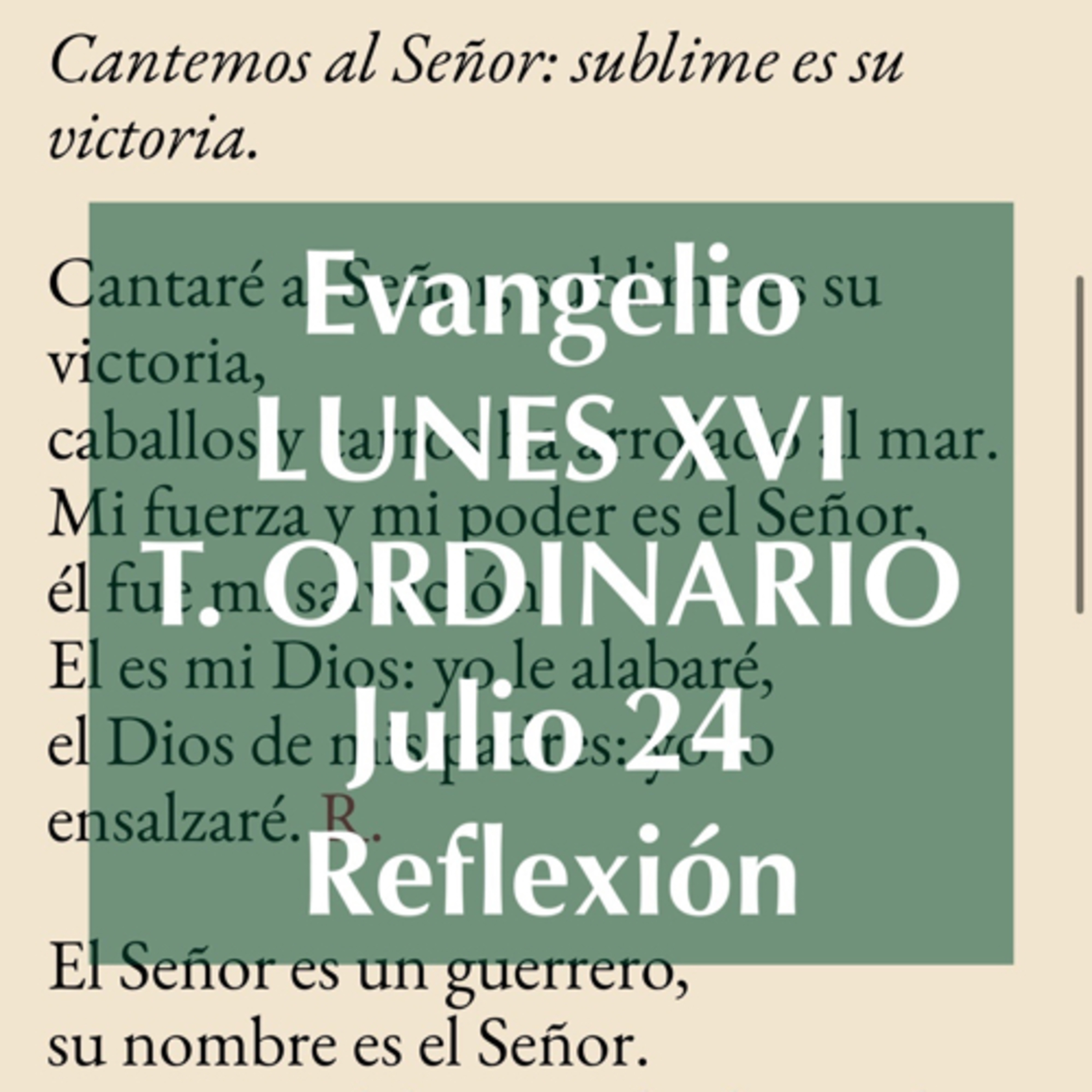 LUNES XVI DE TIEMPO ORDINARIO. Julio 24. Evangelio y reflexión. episode artwork